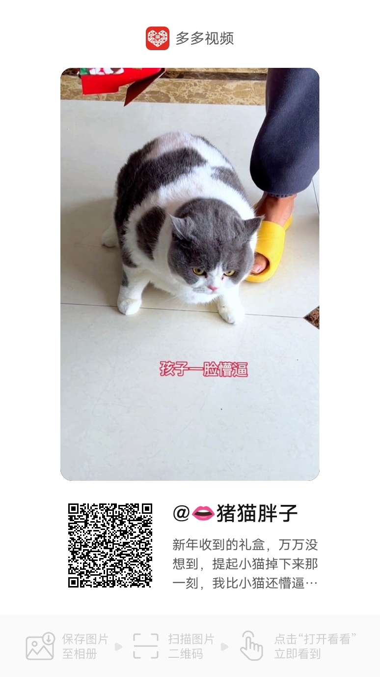 wechat_upload167495856463d5d6e43ceb0