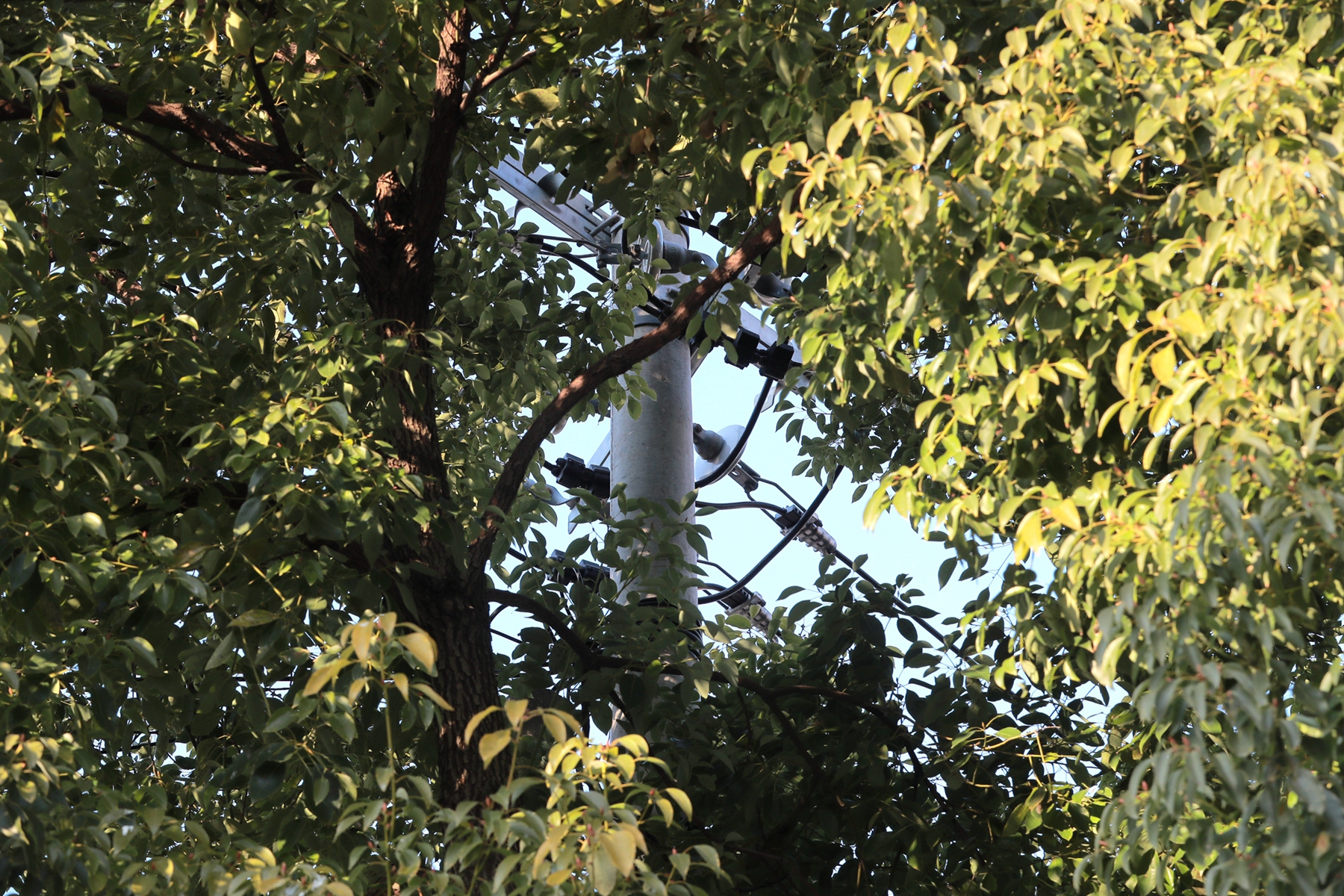 AN8I7268.jpg