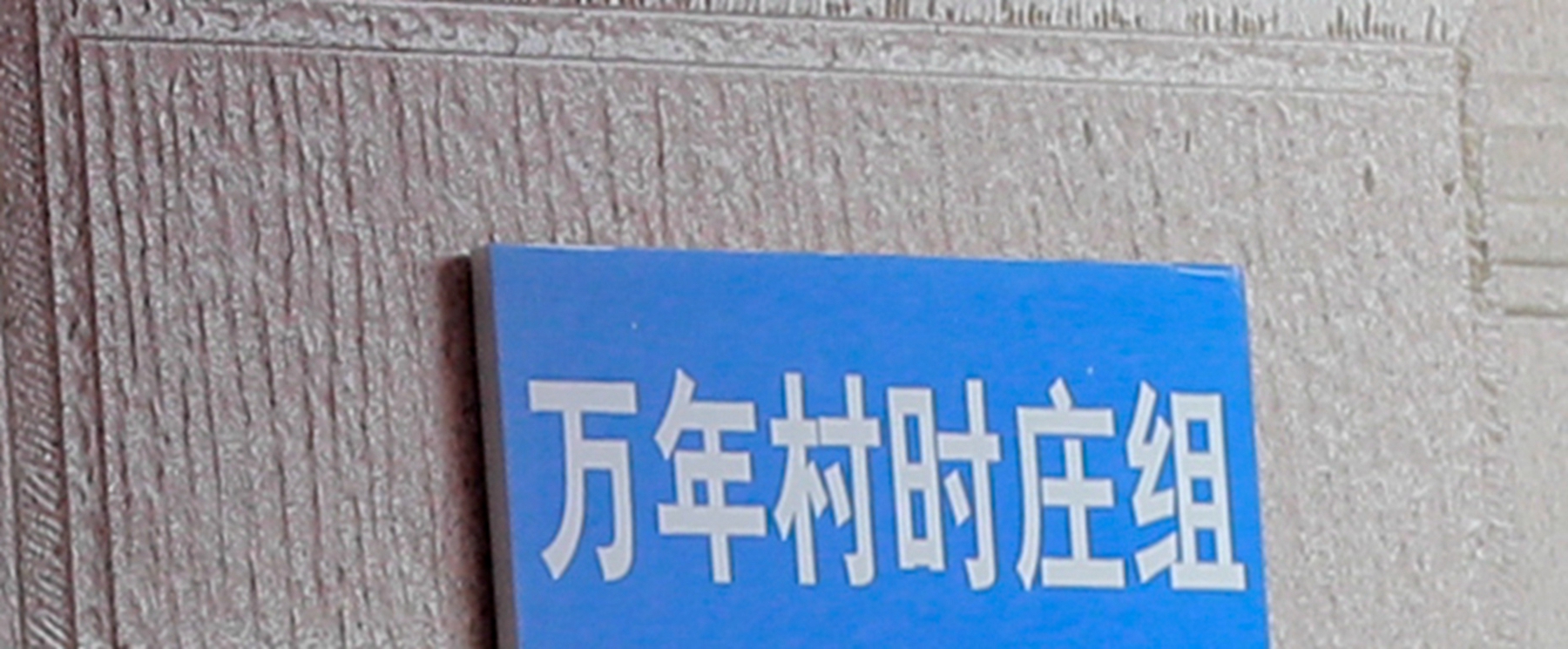 AN8I7283.jpg