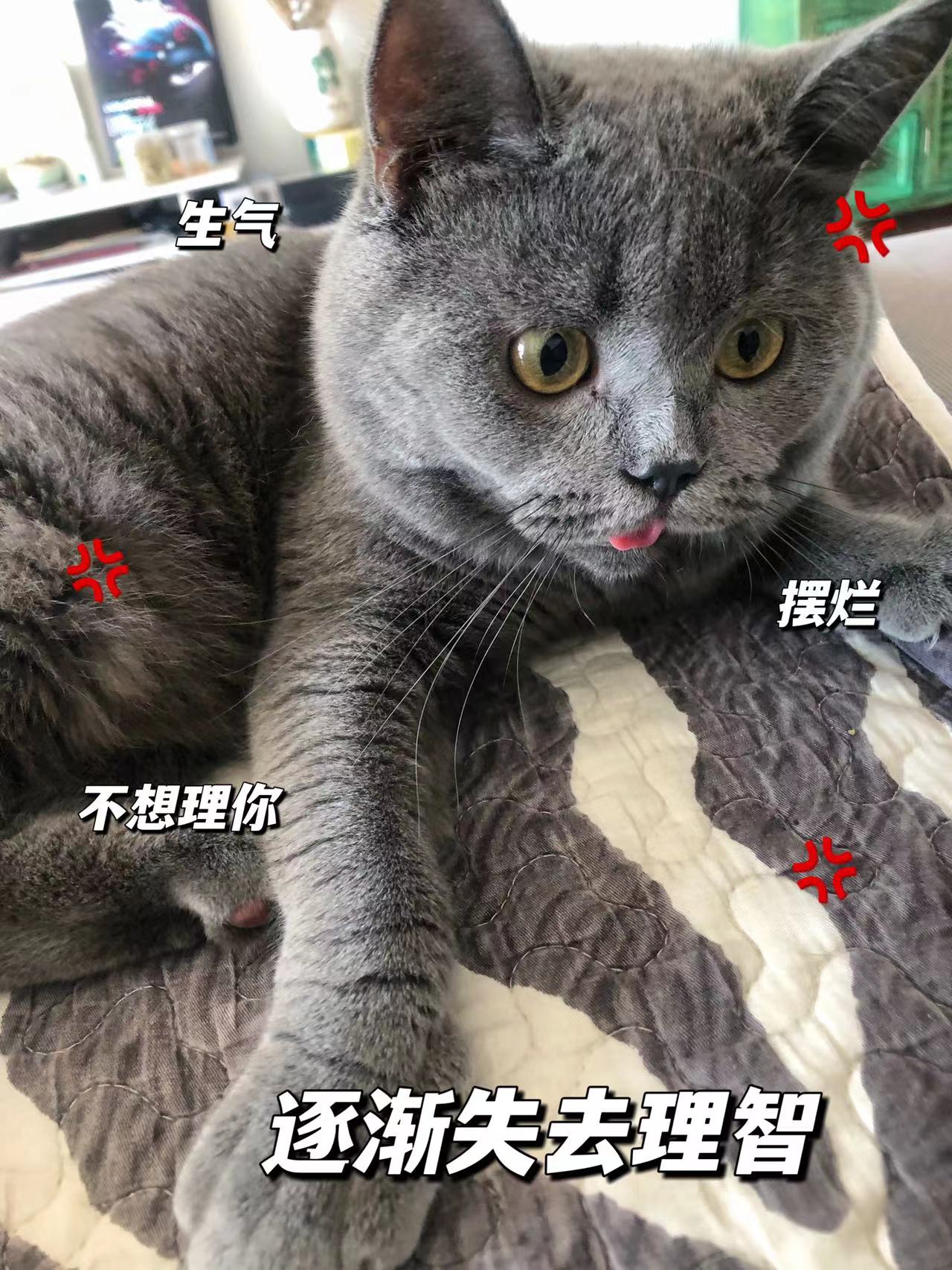 wechat_upload1678540849640c8031ac6f2
