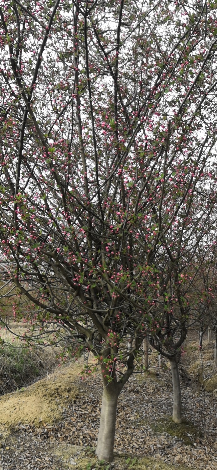 wx_camera_1678581843925.jpg