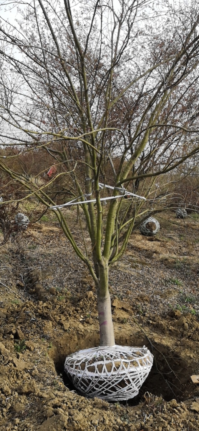 wx_camera_1678581603134.jpg