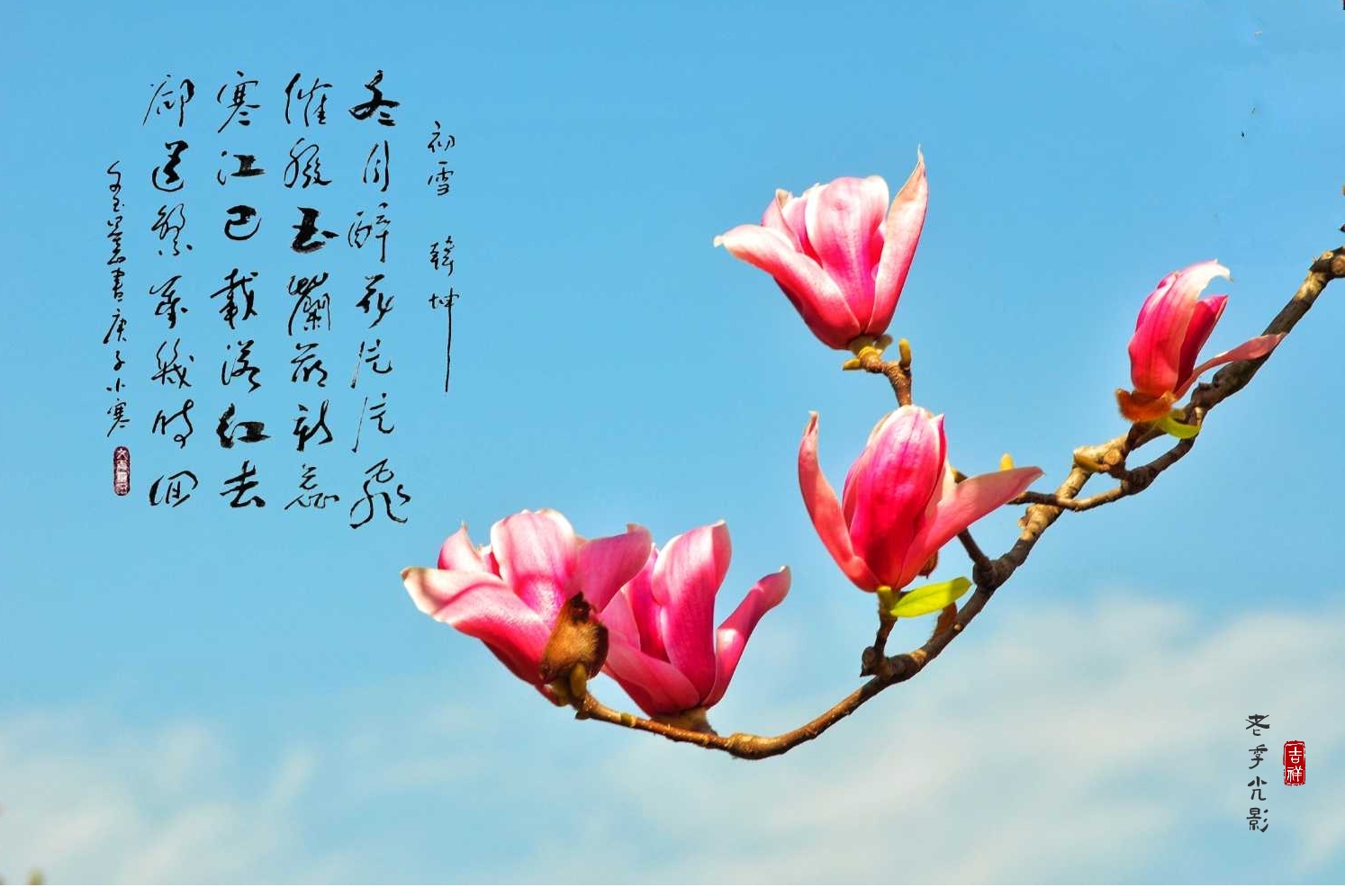 wechat_upload1678968504641306b8c3705
