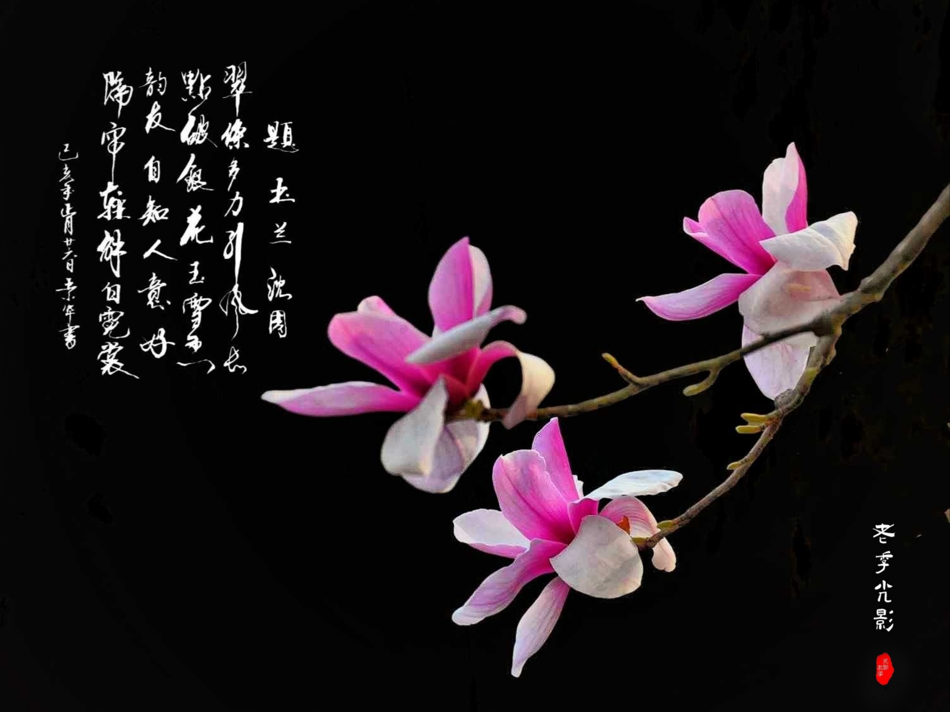 wechat_upload1678968506641306bae51cf