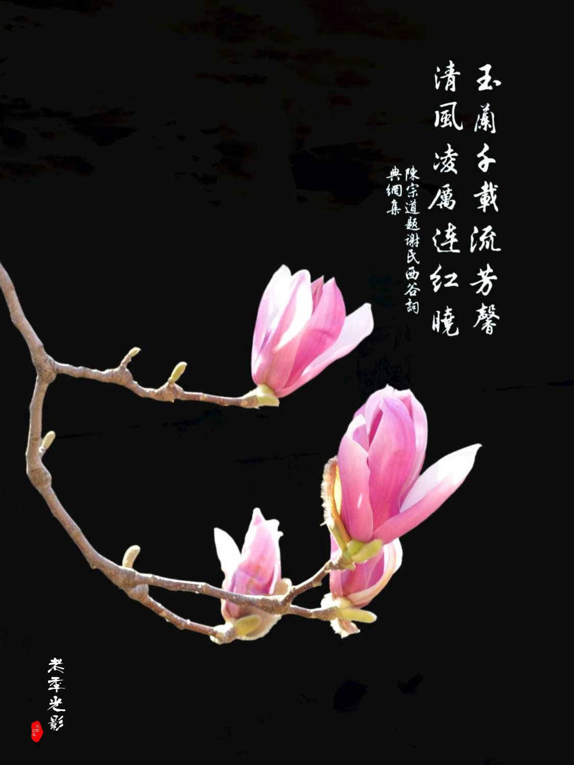 wechat_upload1678968506641306ba21121