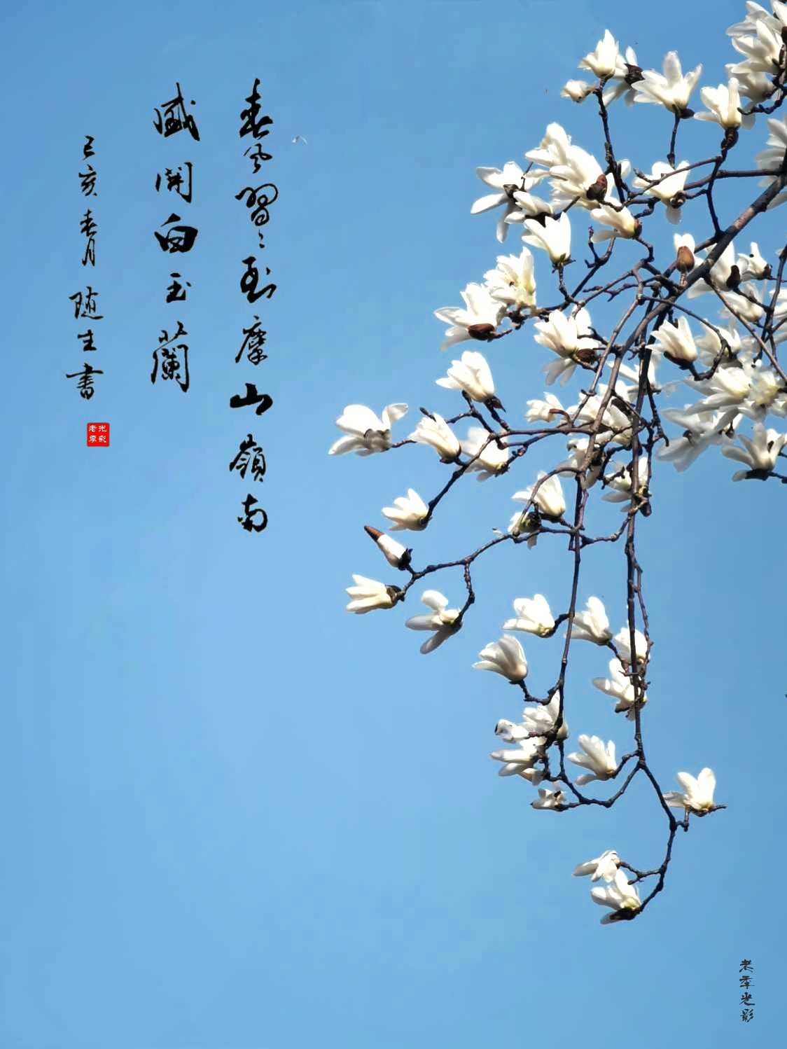 wechat_upload1678968564641306f4d9fb9