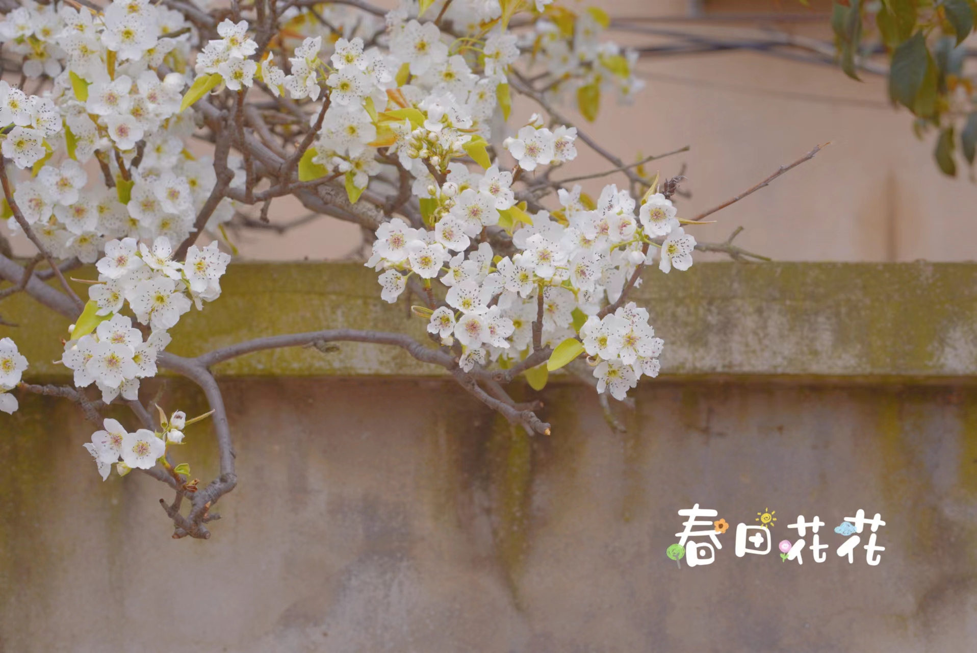 wechat_upload16791125066415393a2ae40