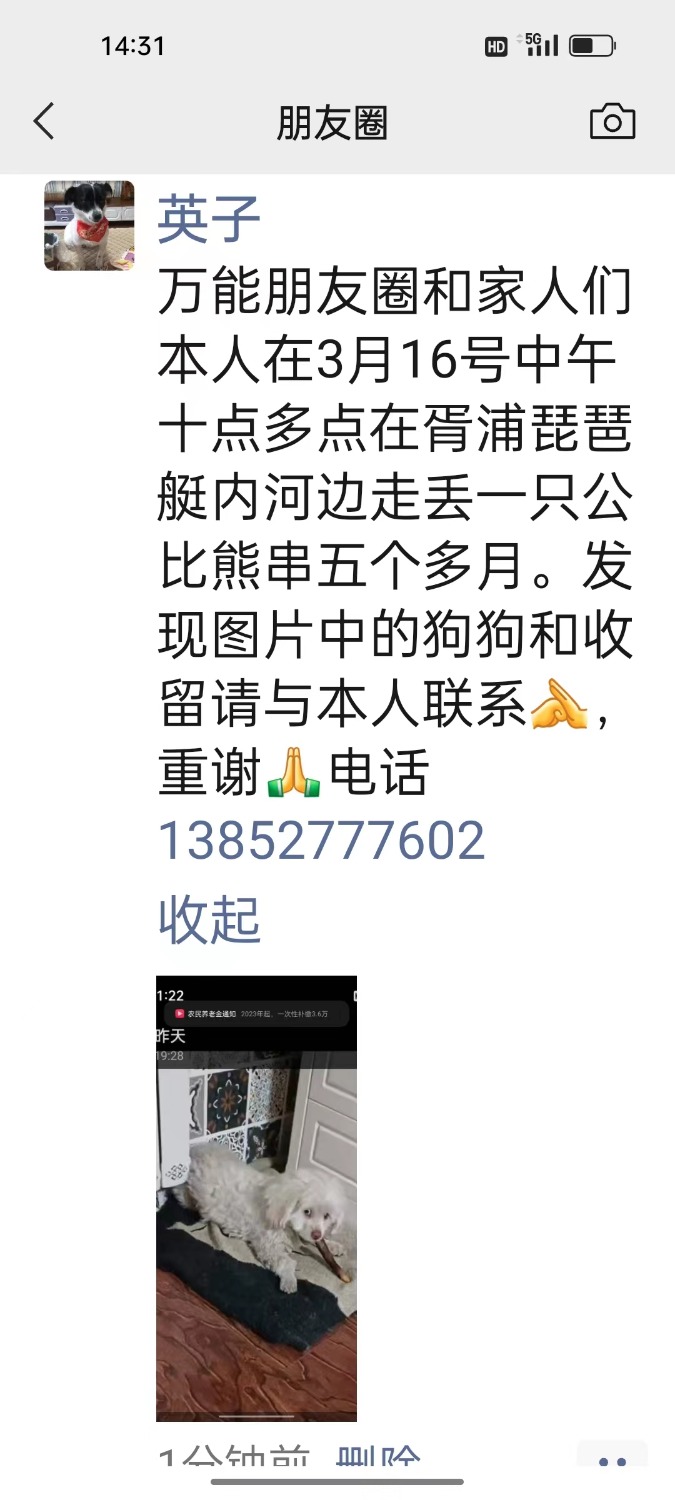 mmexport1679276483942.jpg
