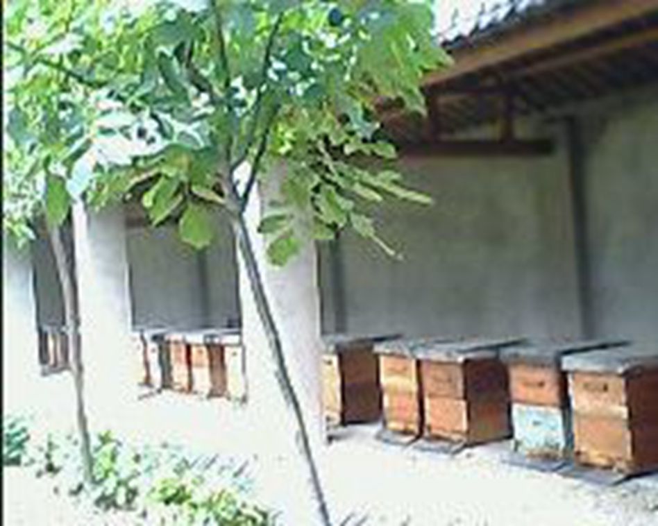 IMG0021A.jpg