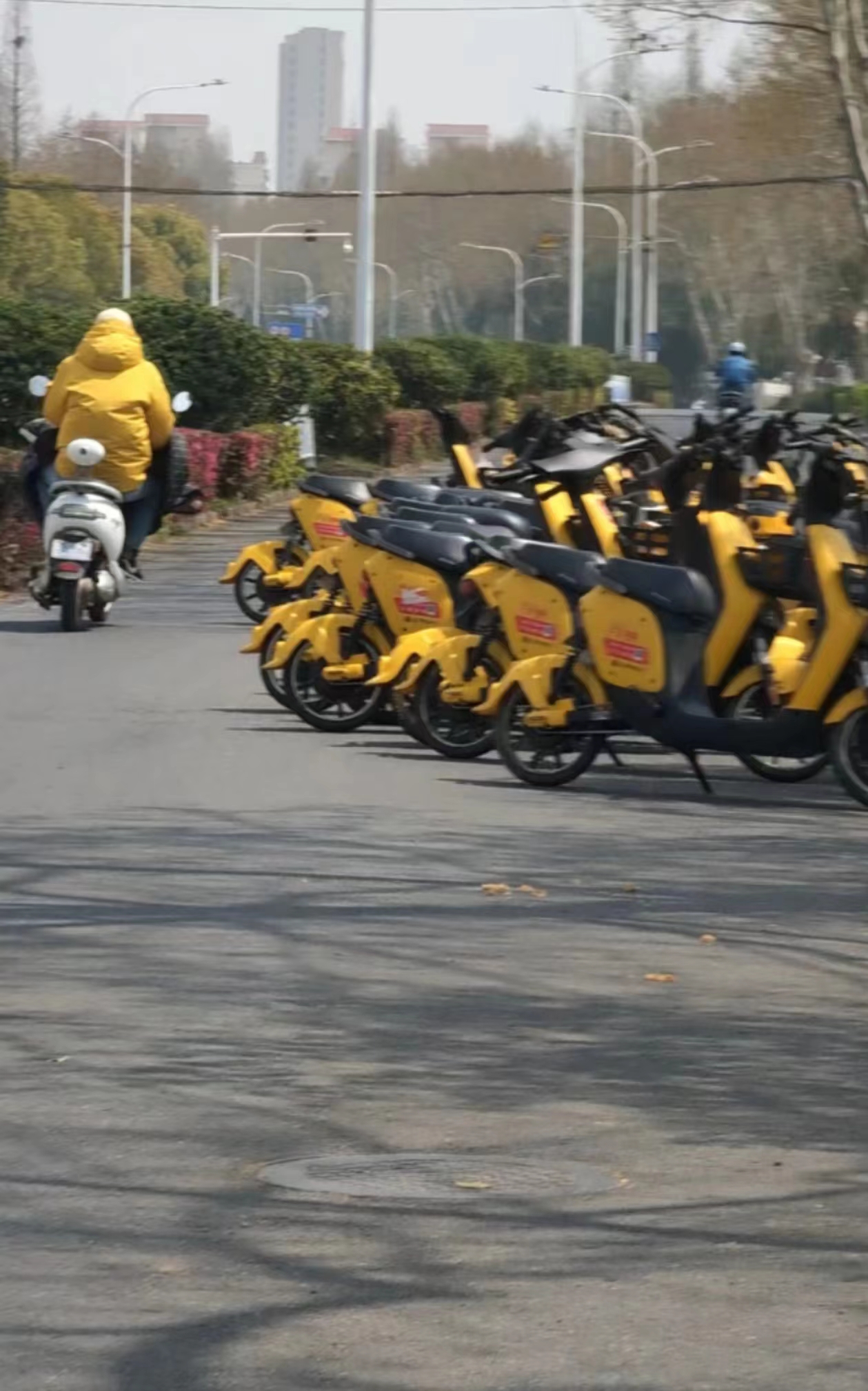 长江中路共享电动车堵塞道路