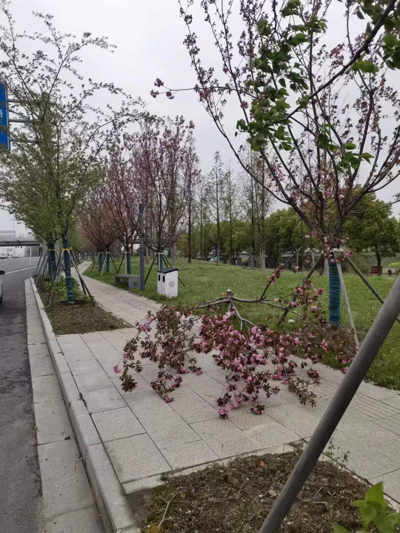 微信图片_20230405122543.jpg