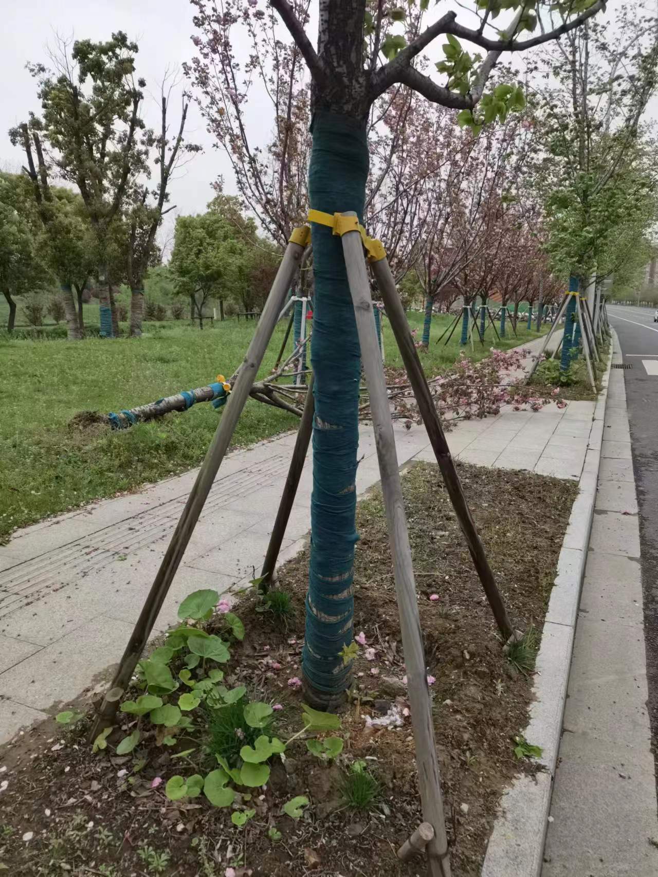 微信图片_202304051225442.jpg
