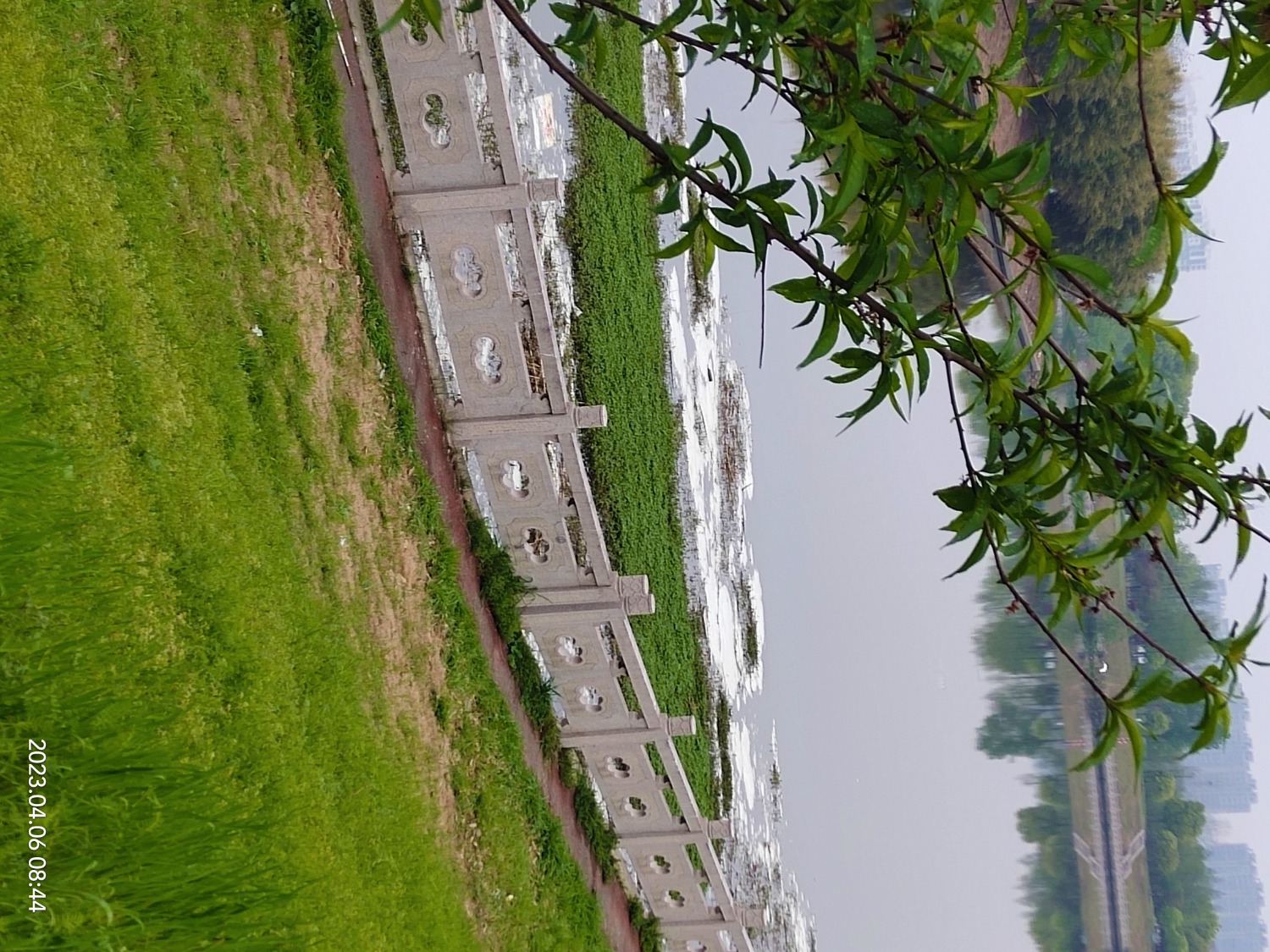 IMG_20230406_084410.jpg