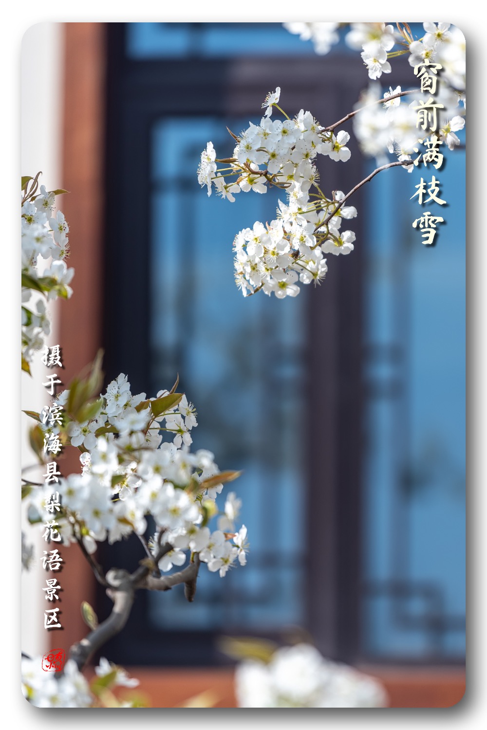 E0B187A8-C427-4F0B-A5A4-0514A3CEA772.jpeg