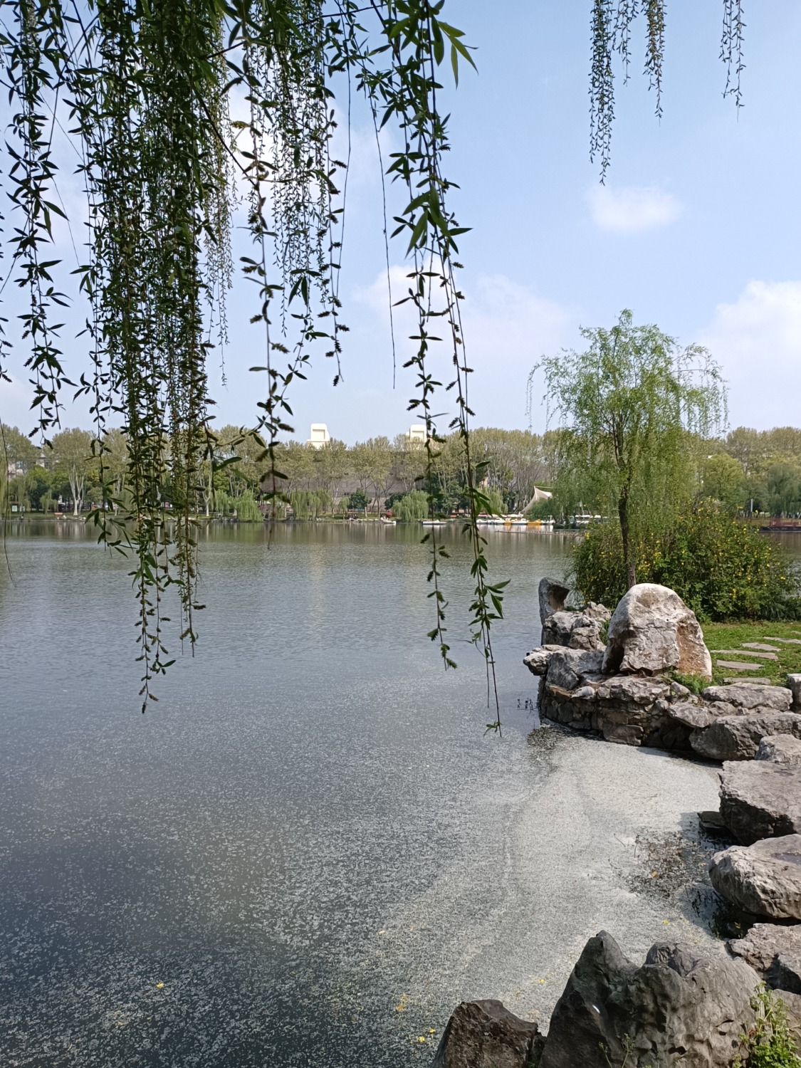 IMG_20230407_102529.jpg