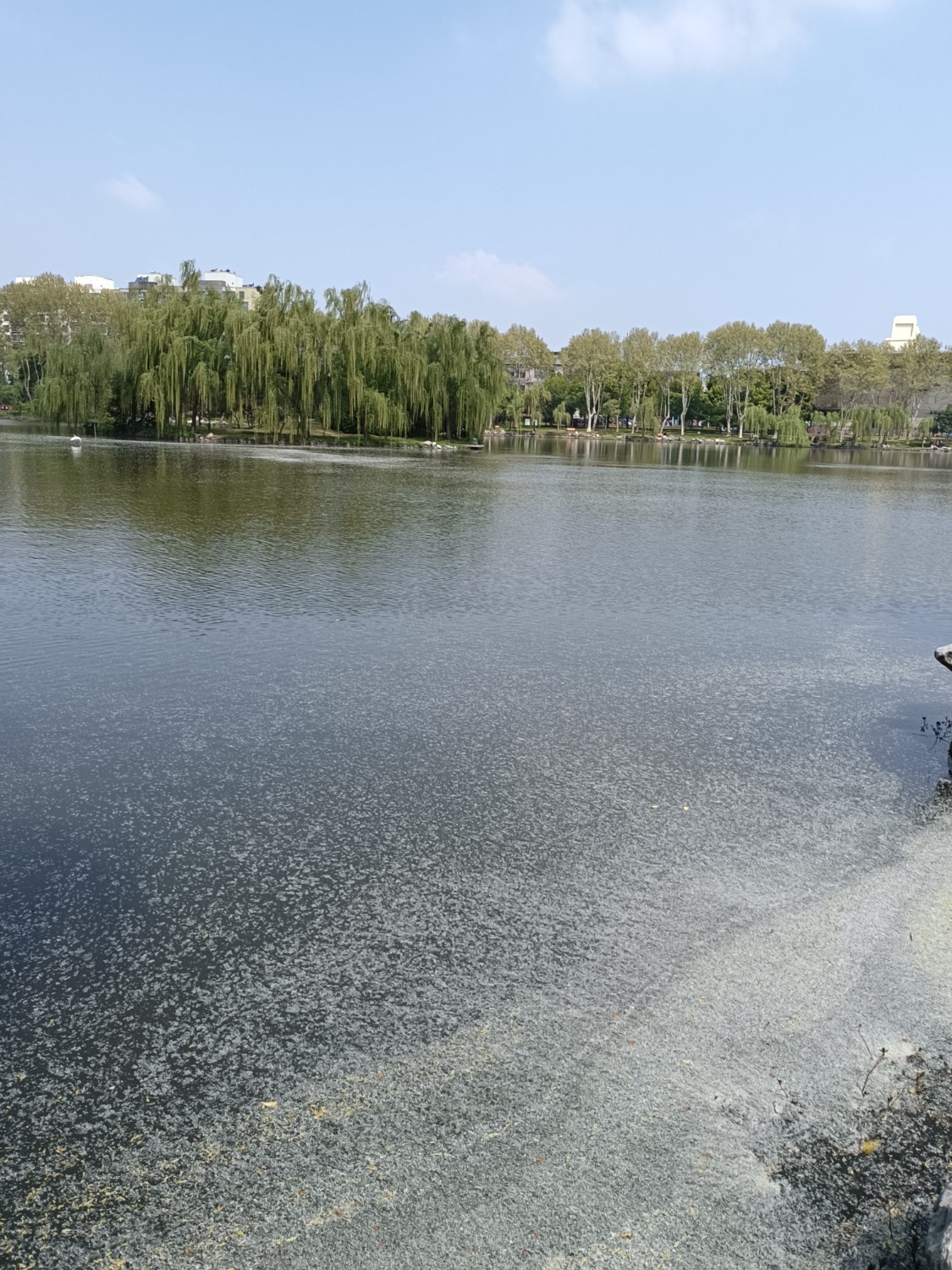 IMG_20230407_102546.jpg