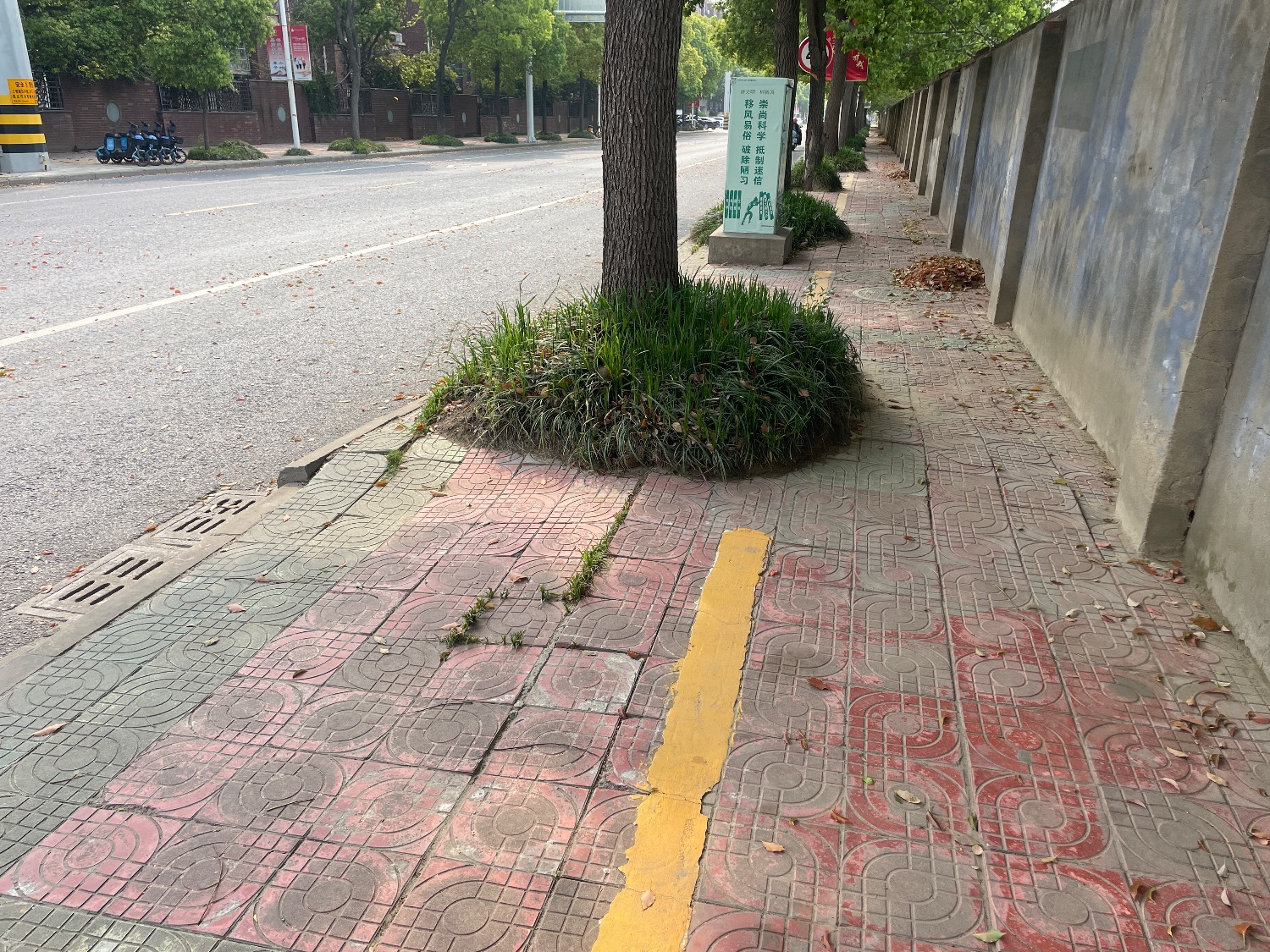 415979E5-25F0-477B-9A2D-1D41E1E6C574.jpeg