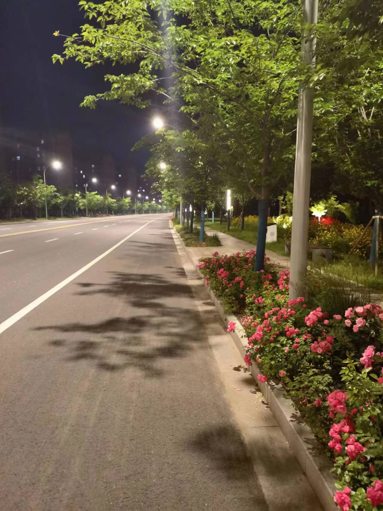 微信图片_20230509090616.jpg