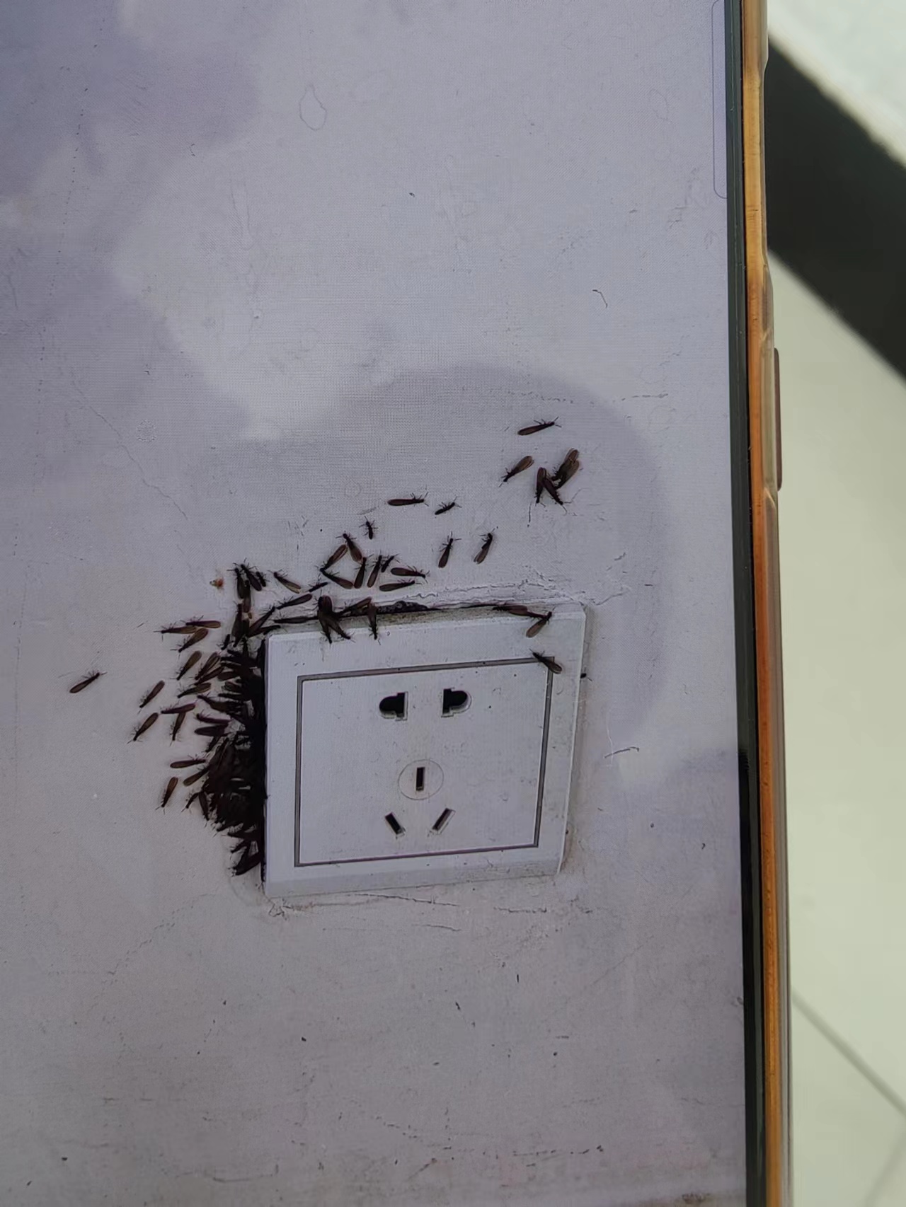 微信图片_20230511094314.jpg