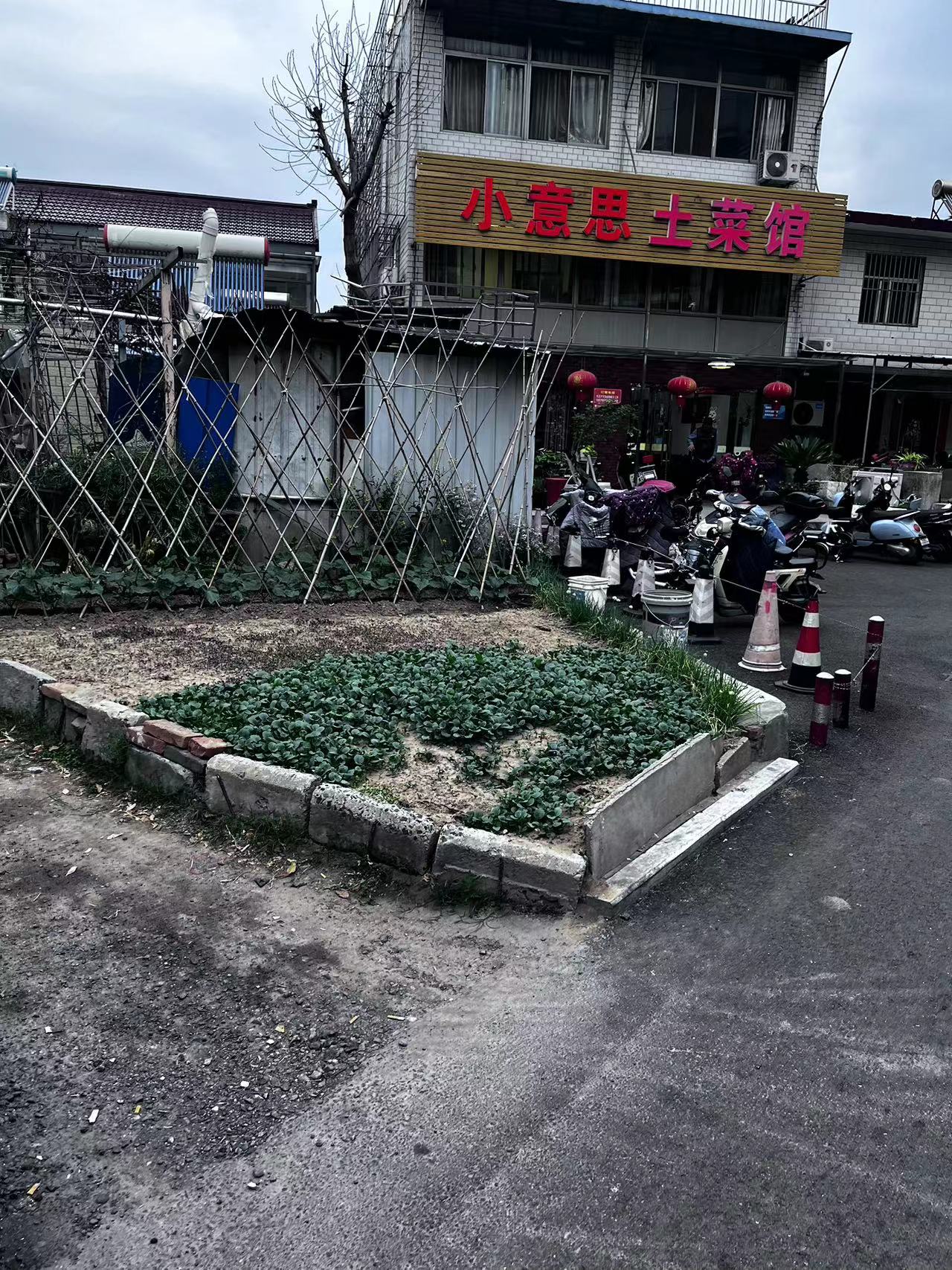 6d9ae9adac5a09ddec9173b1d98961a.jpg