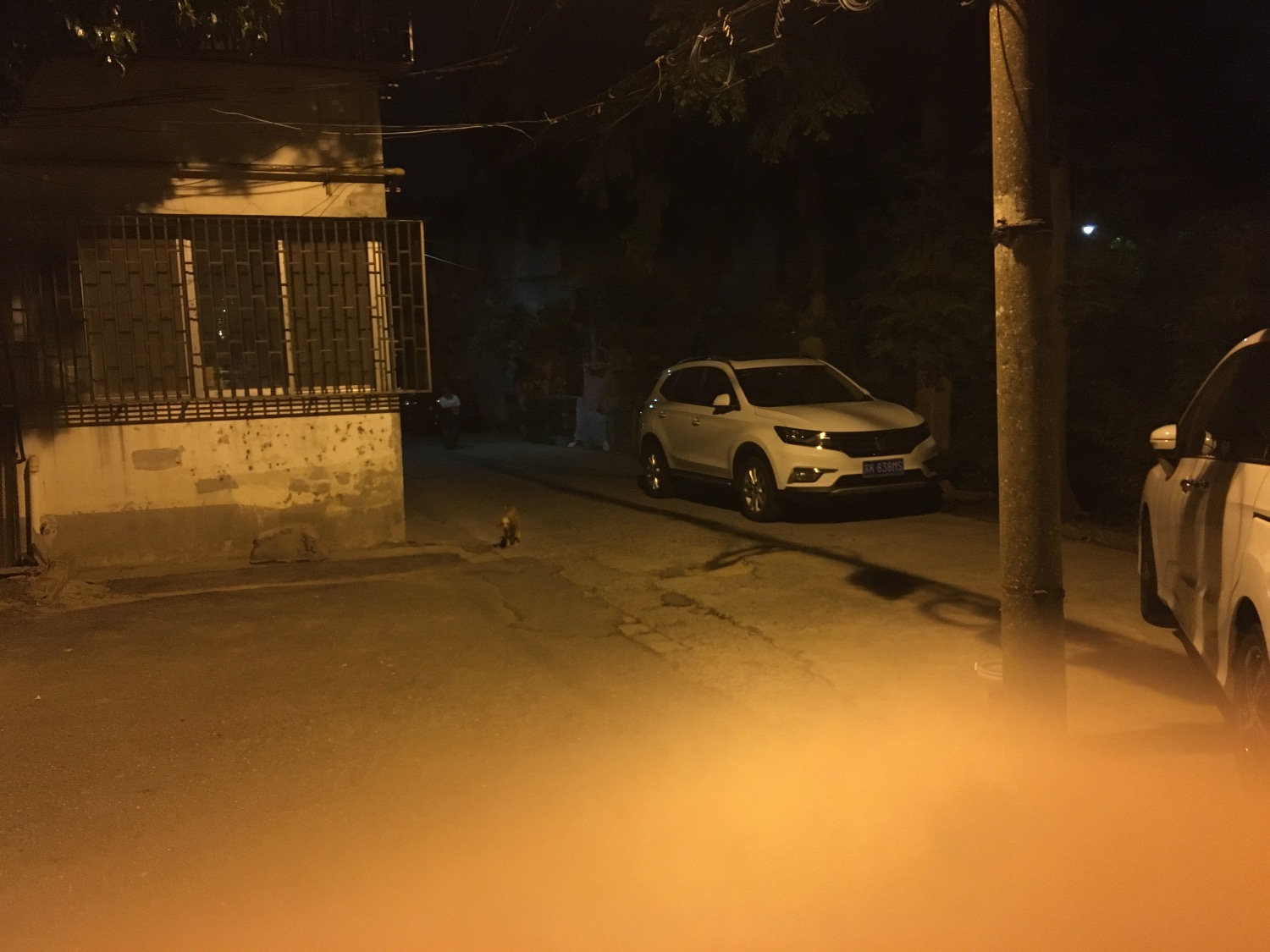 61F079D5-A2EE-411C-84EC-65C3B5673181.jpeg