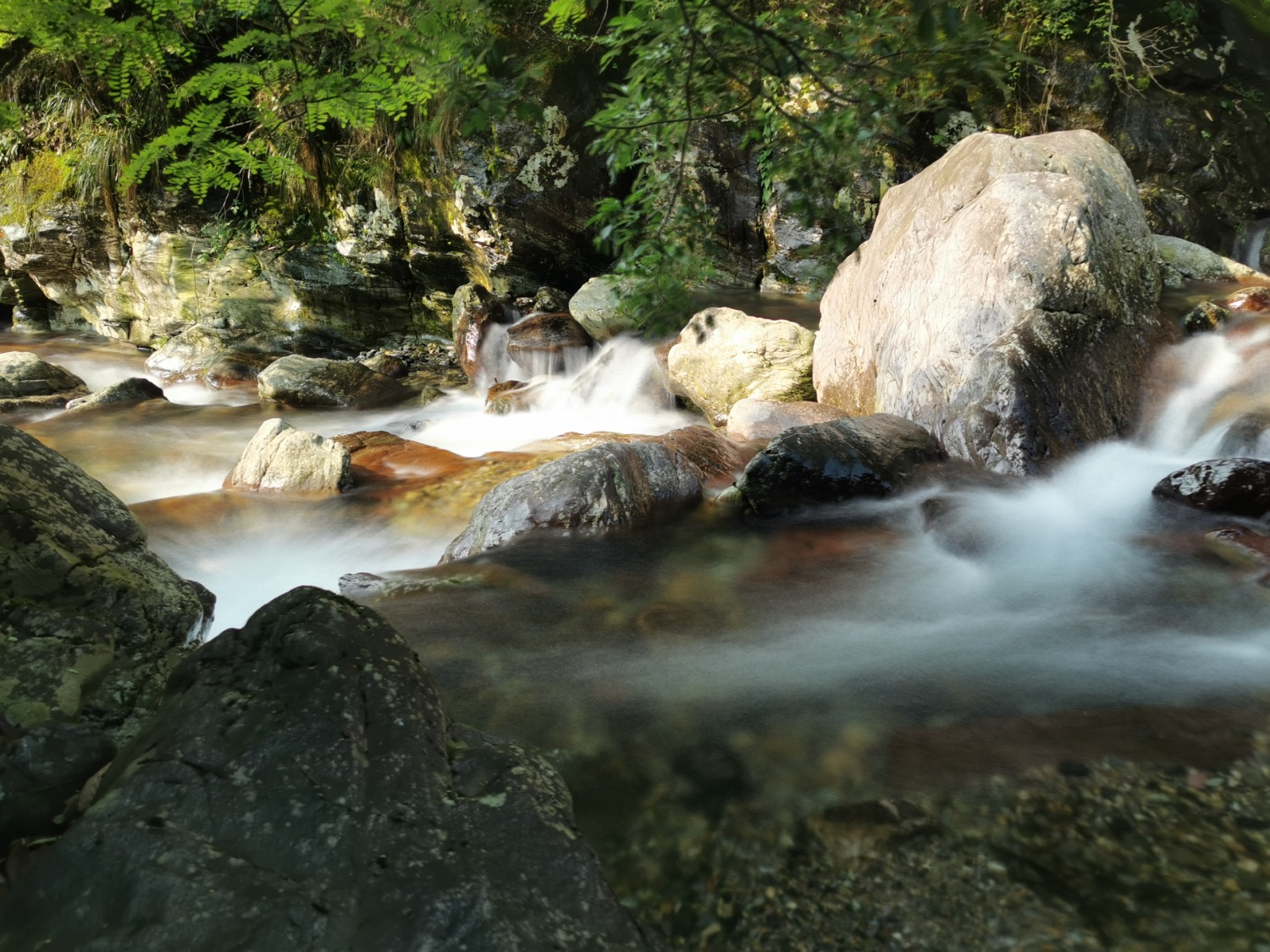 IMG_20230519_080958.jpg