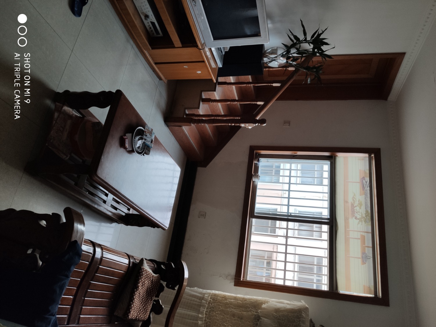 IMG_20191019_170110.jpg