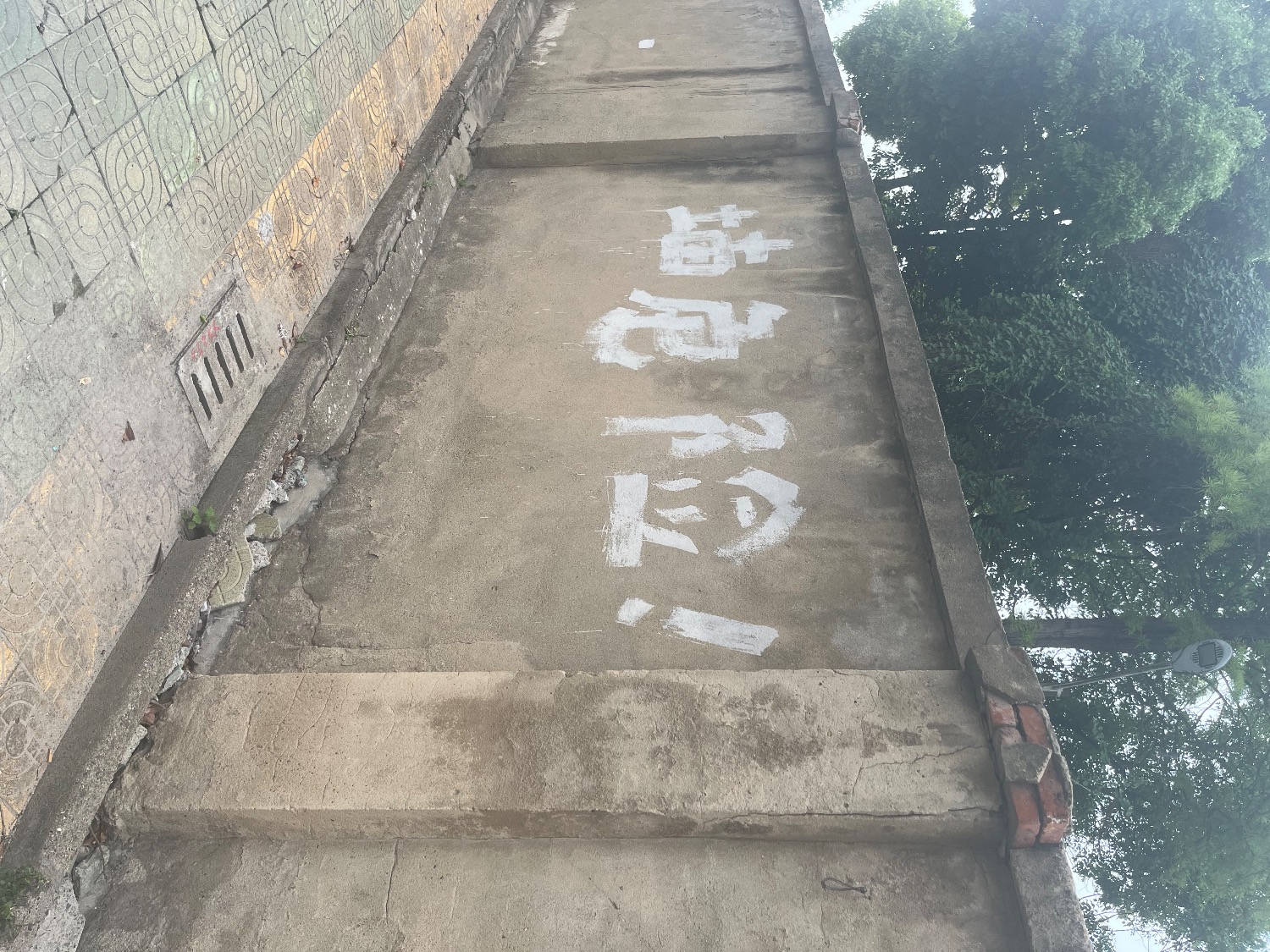 IMG_1720.jpeg