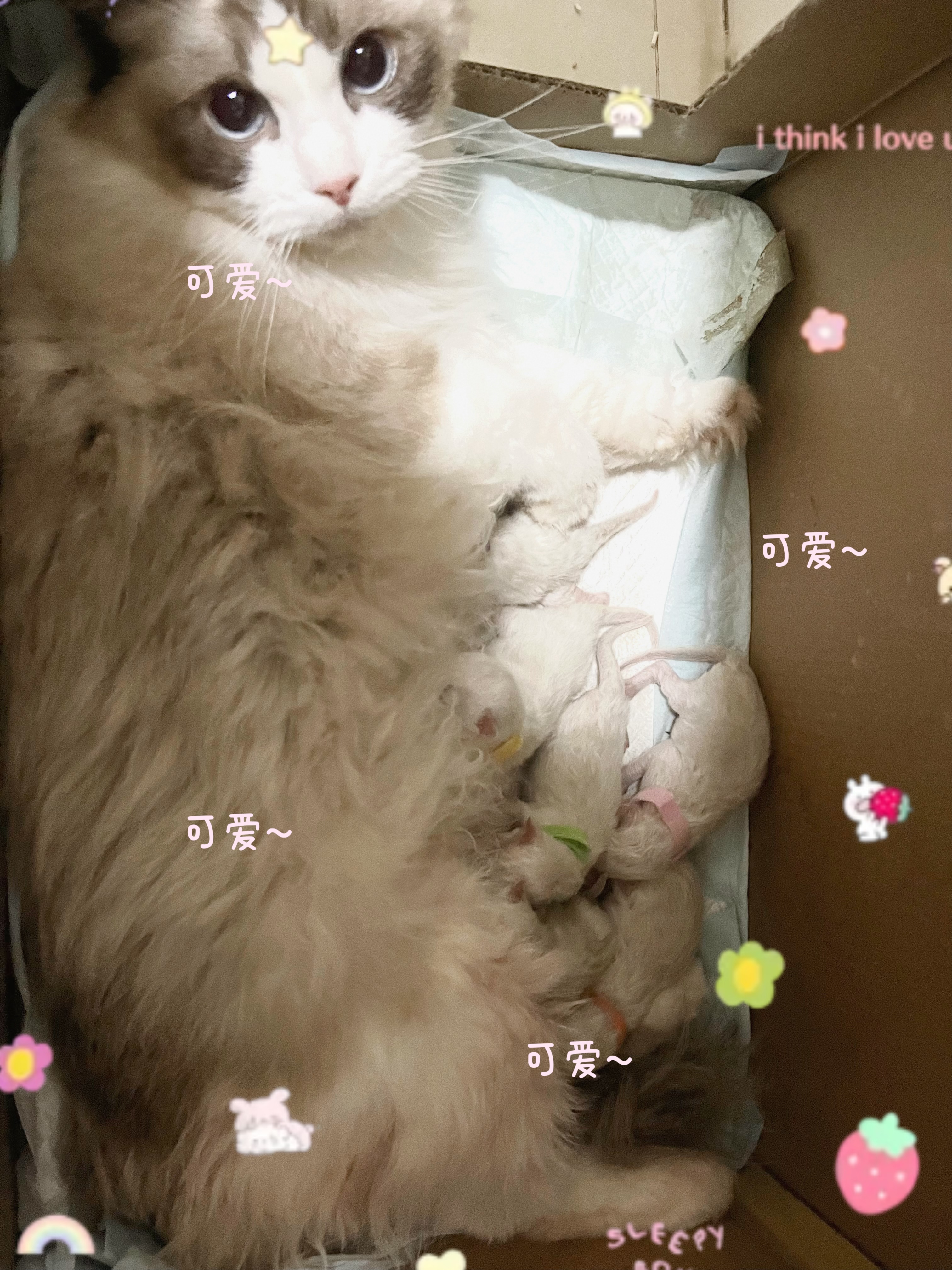 微信图片_20230603082832.jpg