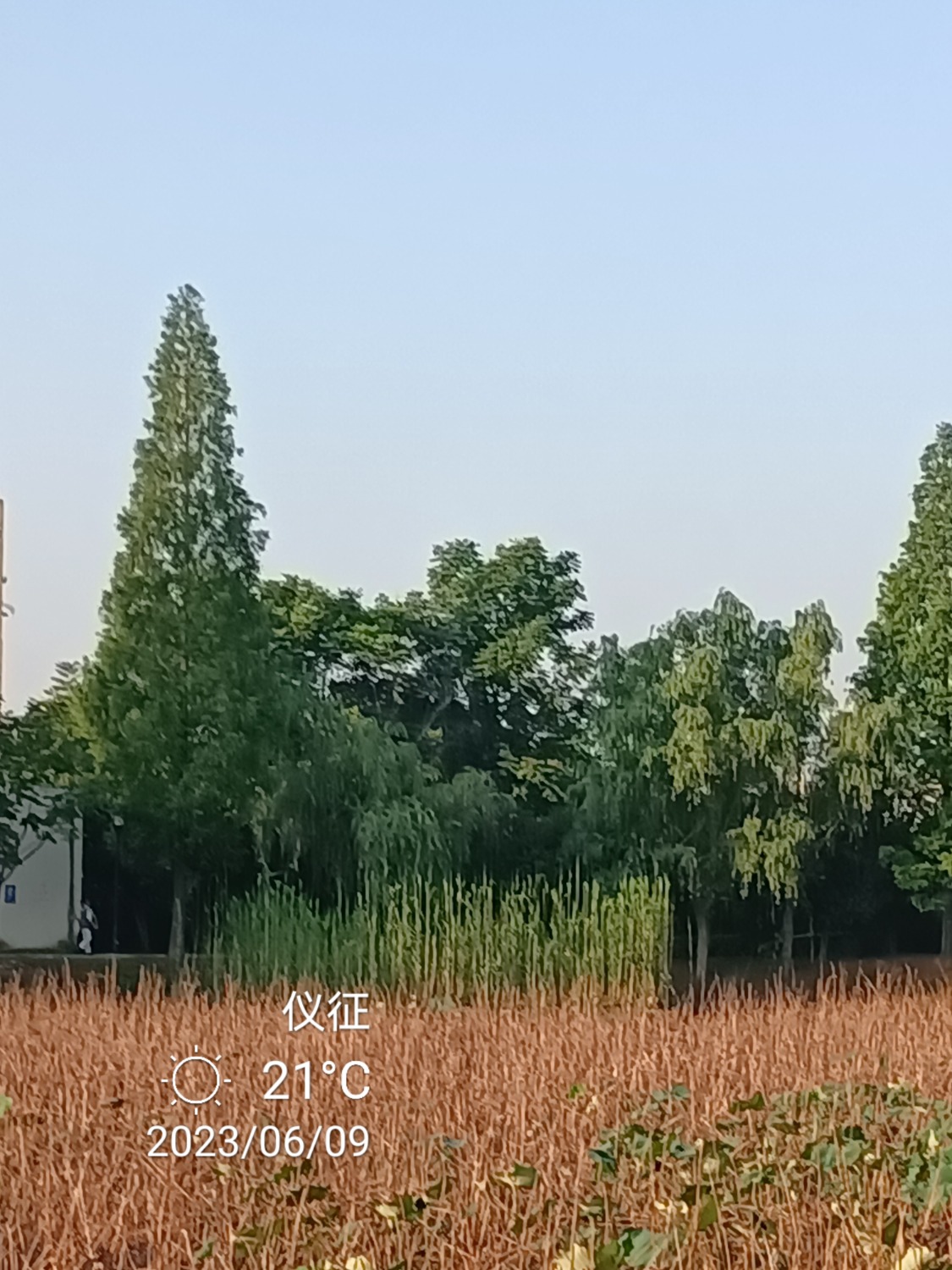 IMG_20230609_061927.jpg