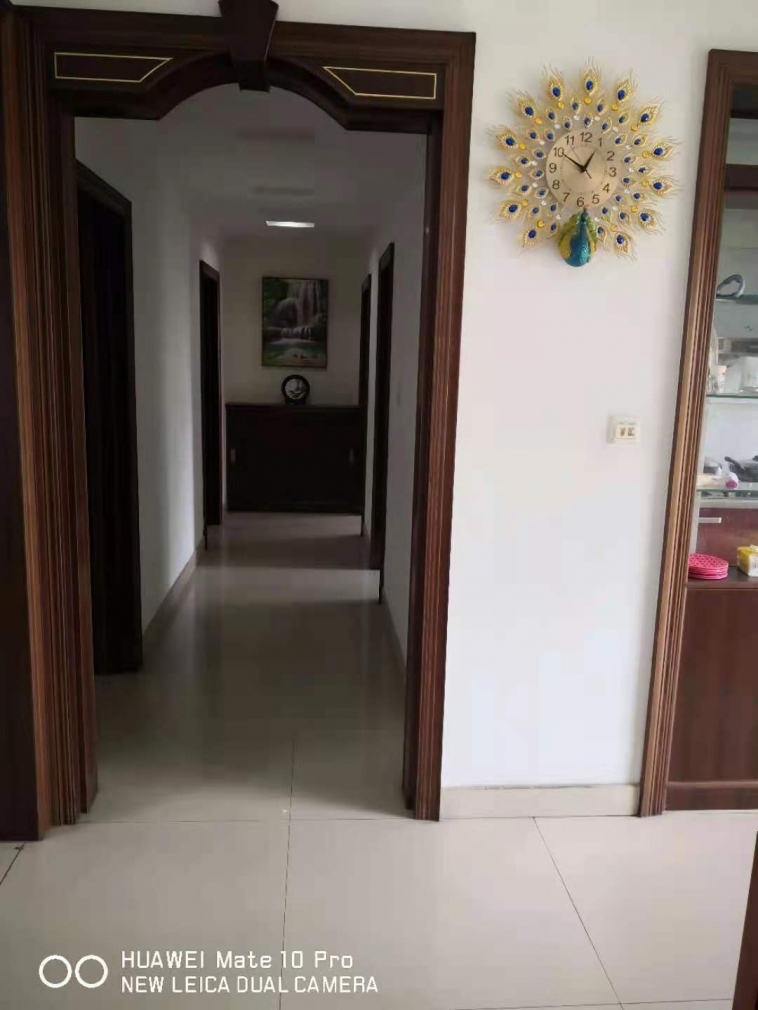 161408n53rtirbf8ler5cd.jpg