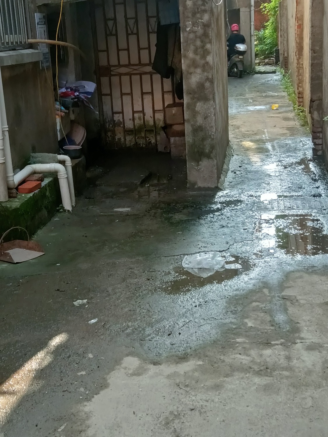 IMG20230708155102.jpg