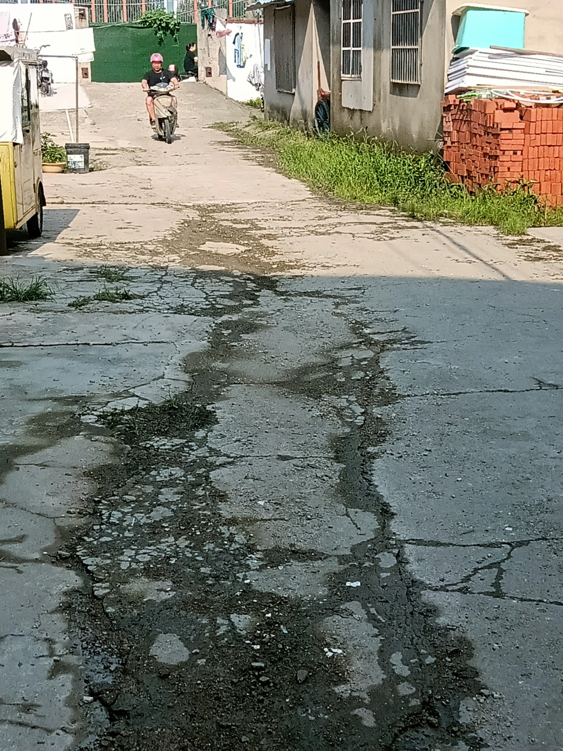 IMG20230708155031.jpg