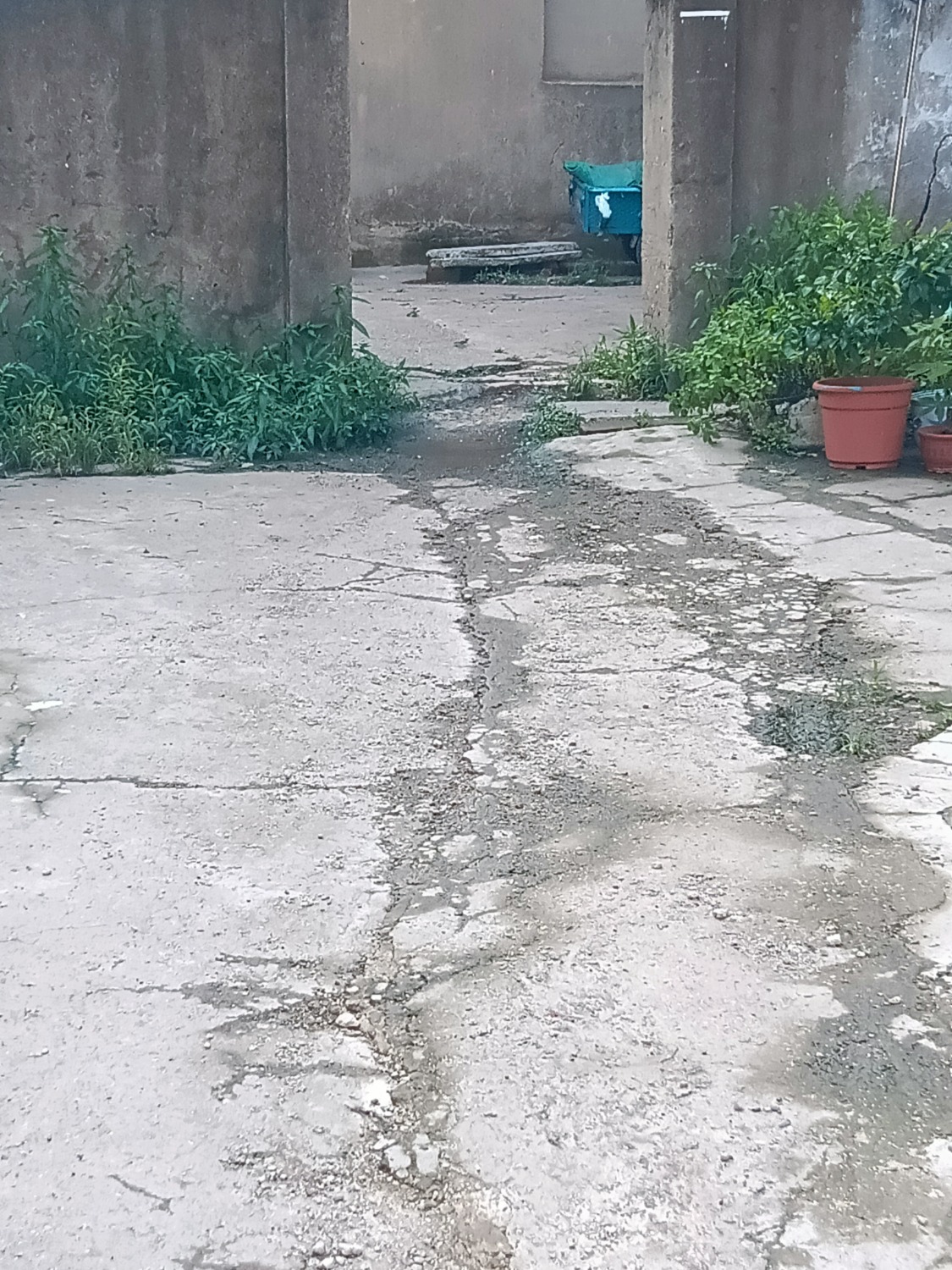 IMG20230708155007.jpg