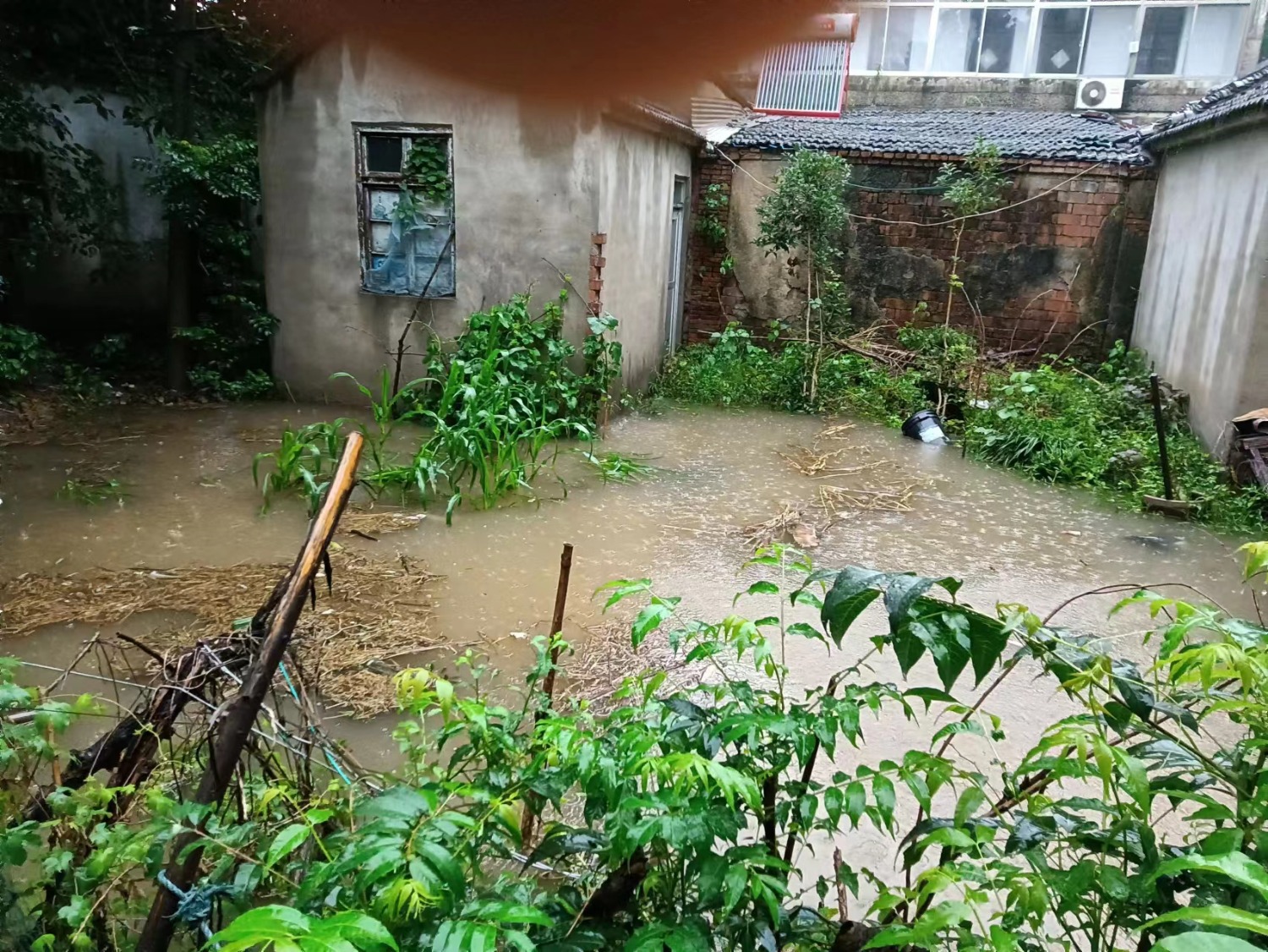 mmexport1689555213278.jpg