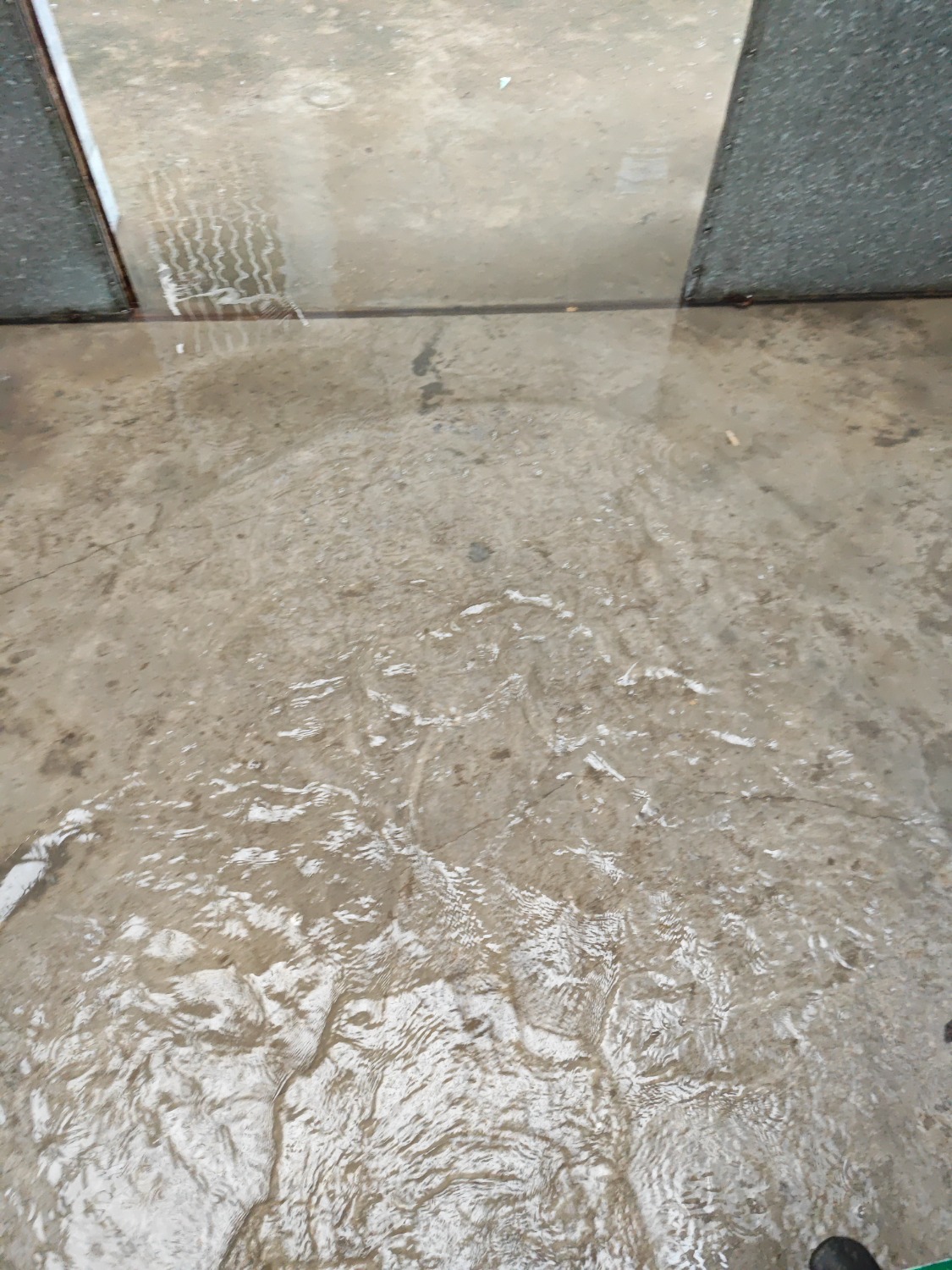 1689557257655.jpg