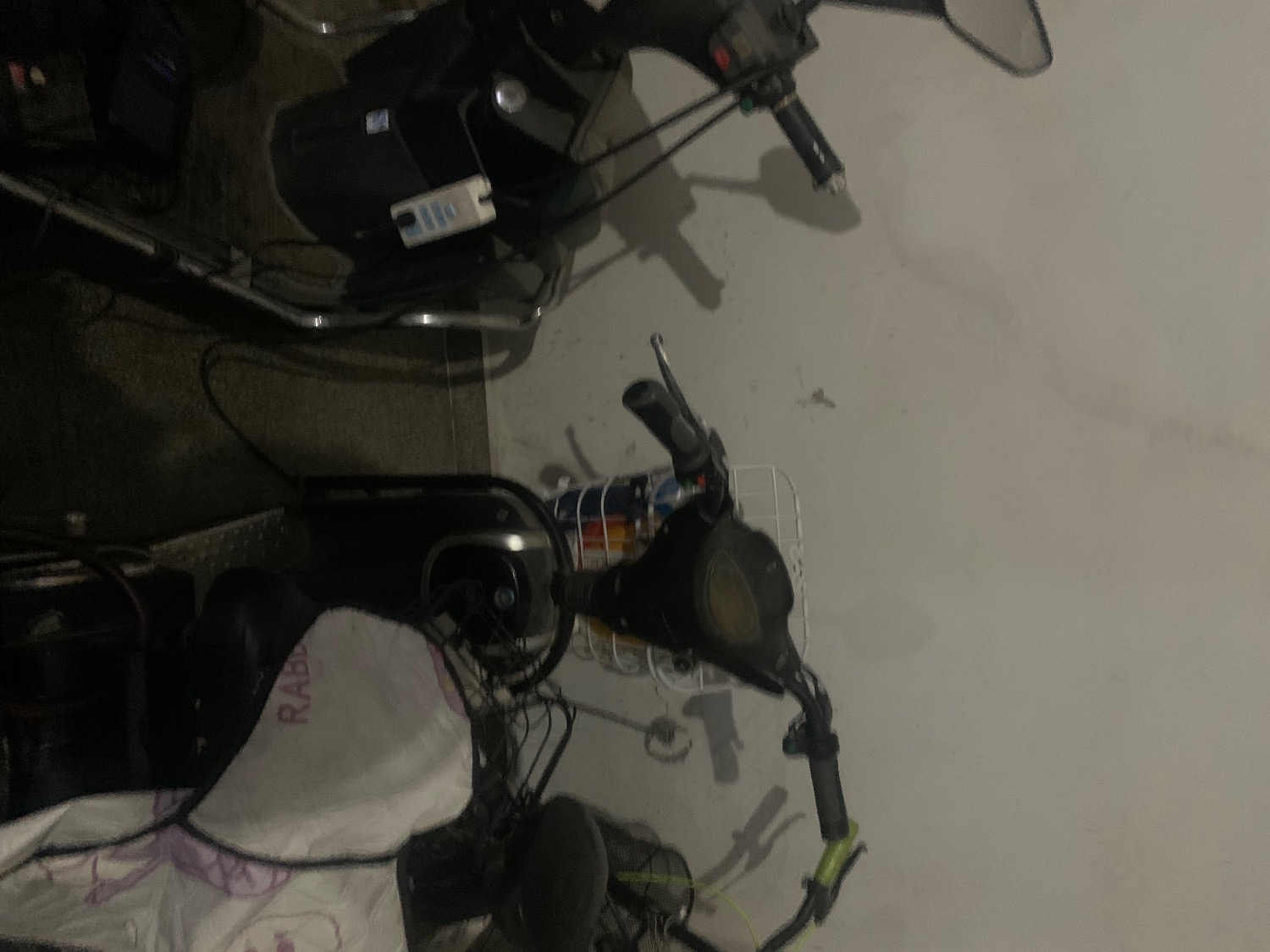 C55821EA-B4F0-4B5A-B365-C44F27EFEDD2.jpeg