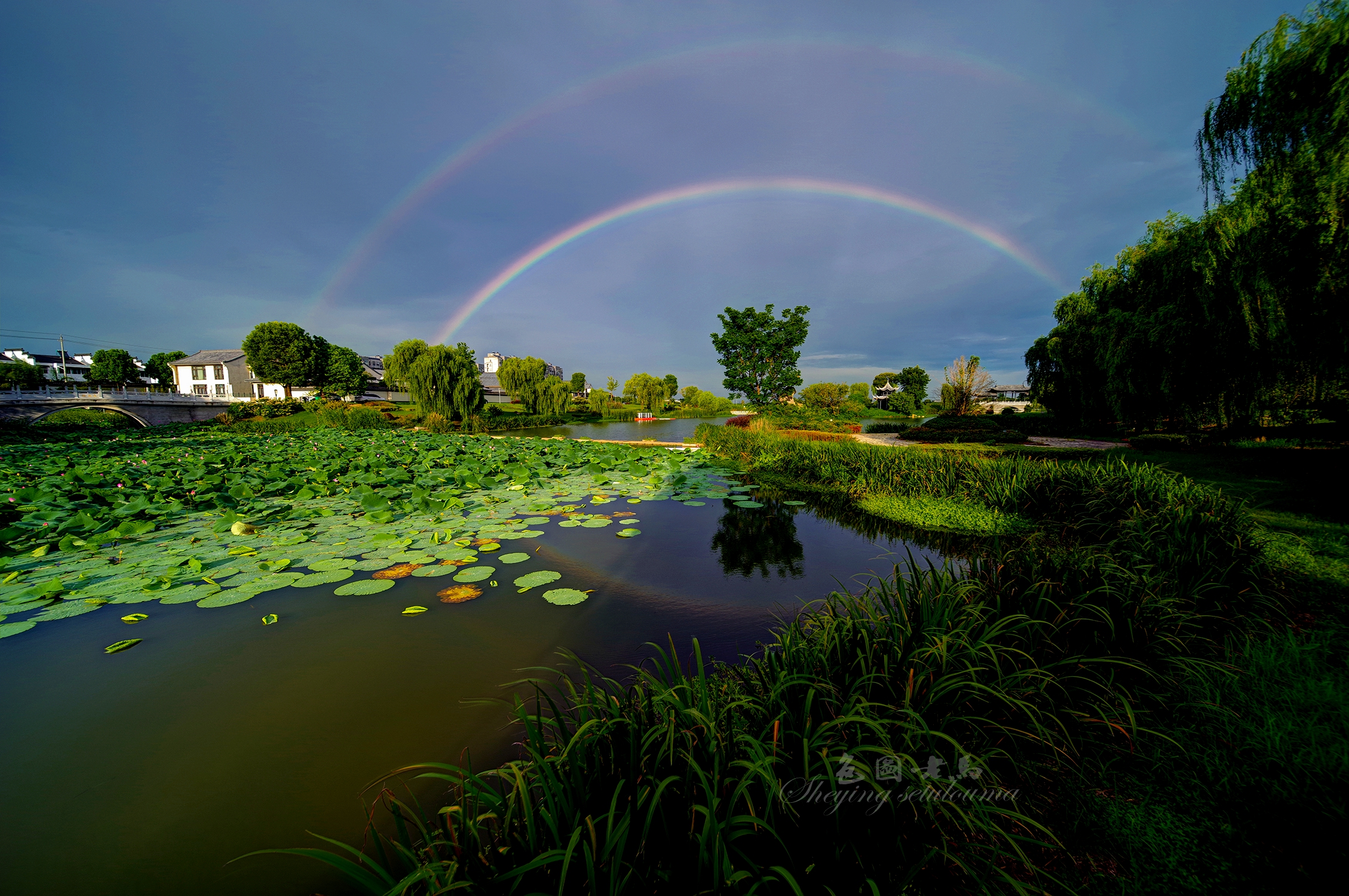 Mix_20230727_215400 (1).jpg