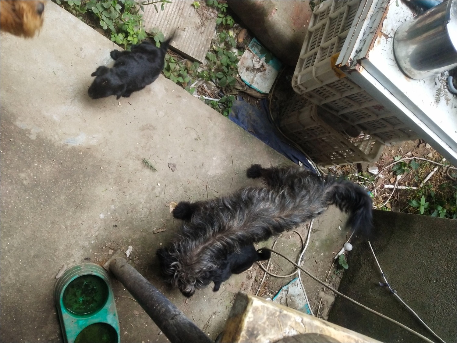 IMG_20230806_172152_Burst01.jpg