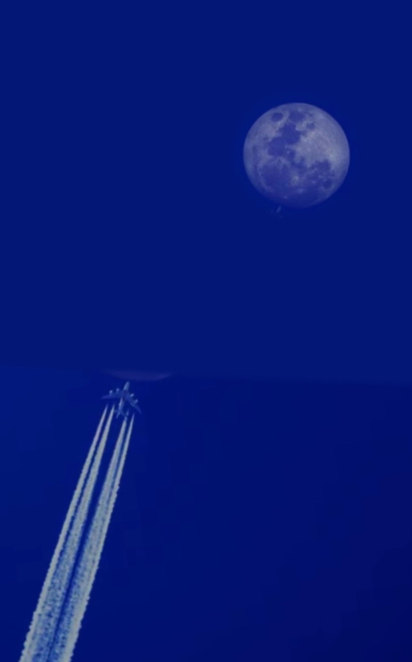C62F3516-E771-4BBC-83F1-3717CC1AD542.jpeg