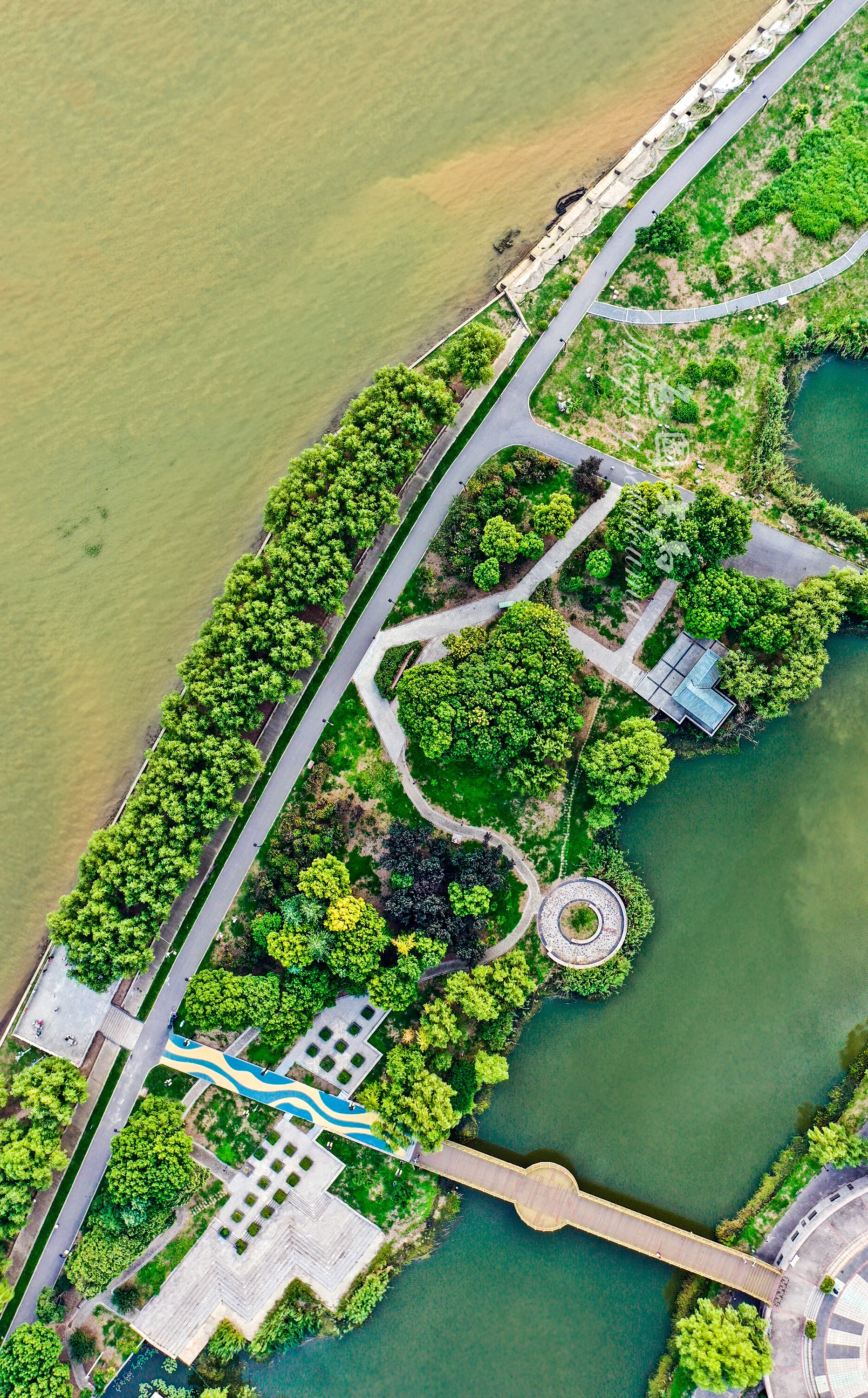 DJI_0972ccv.jpg