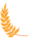 640?wx_fmt=png&wx_.jpg
