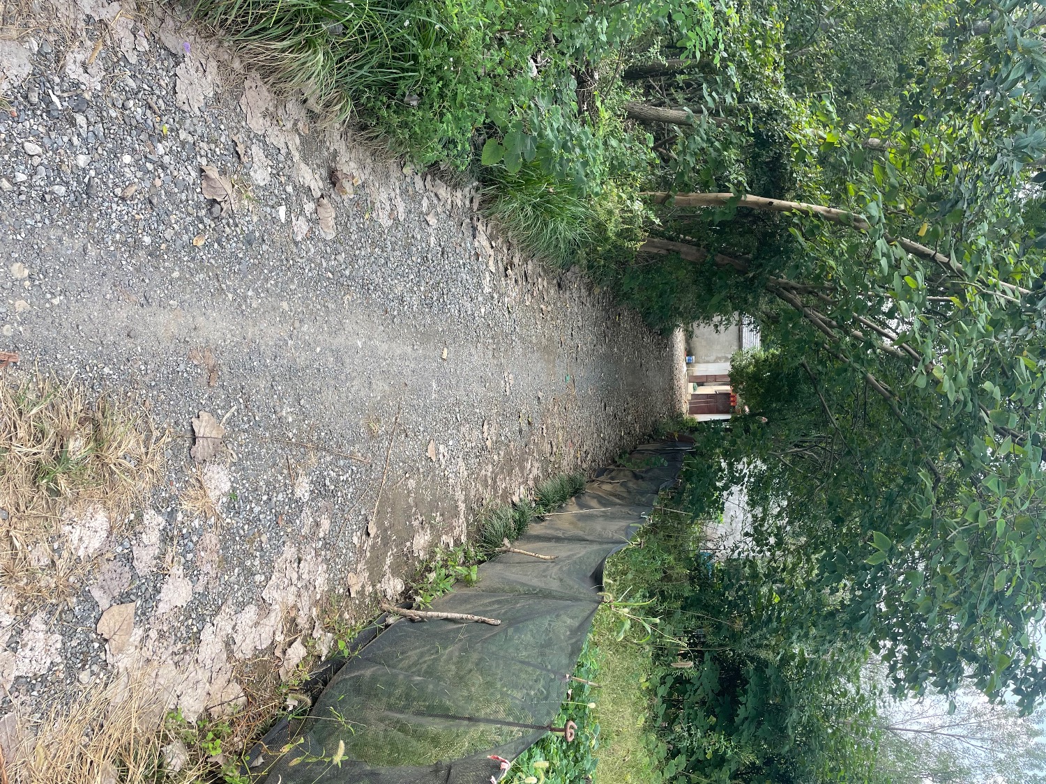 IMG_3159.jpeg