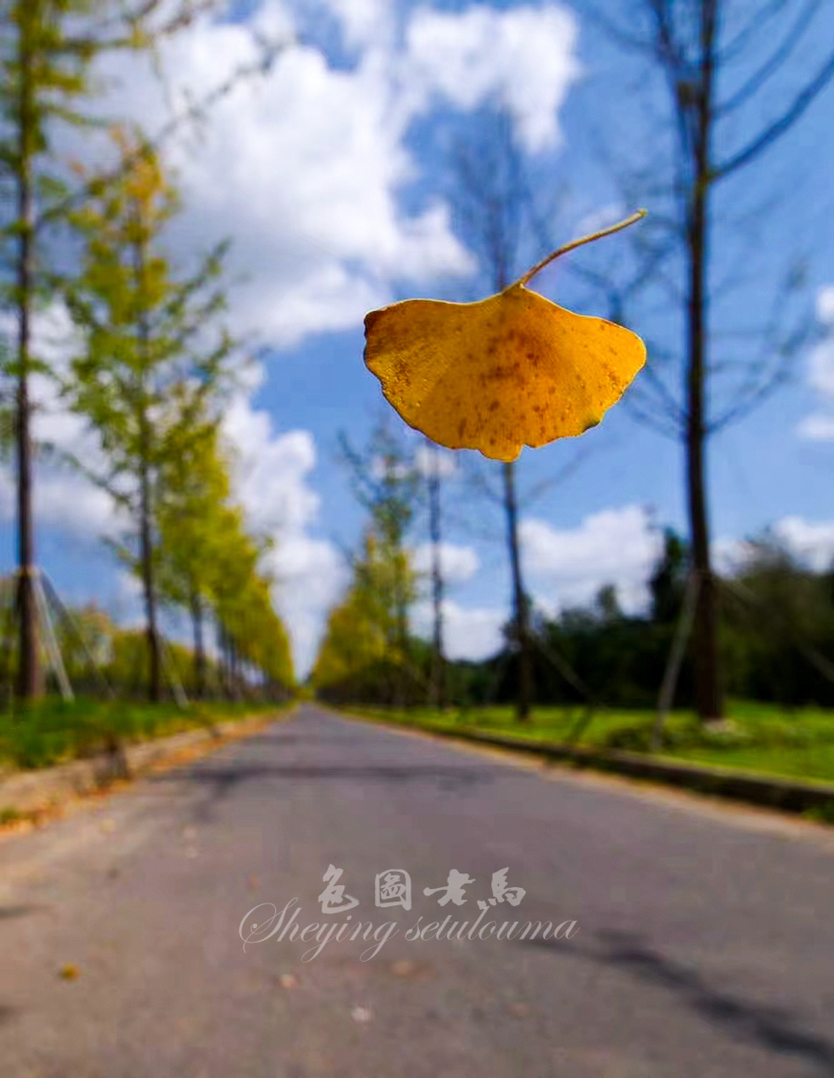 微信图片_20230923140052.jpg