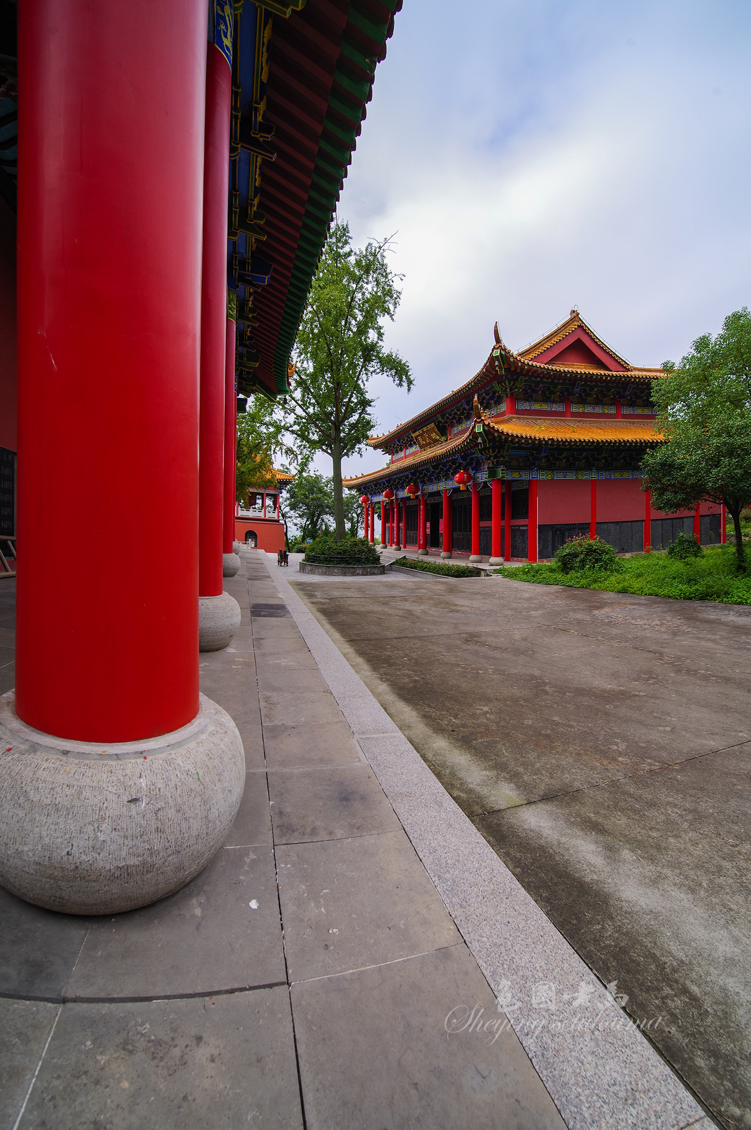 IMGP2362ccv.jpg