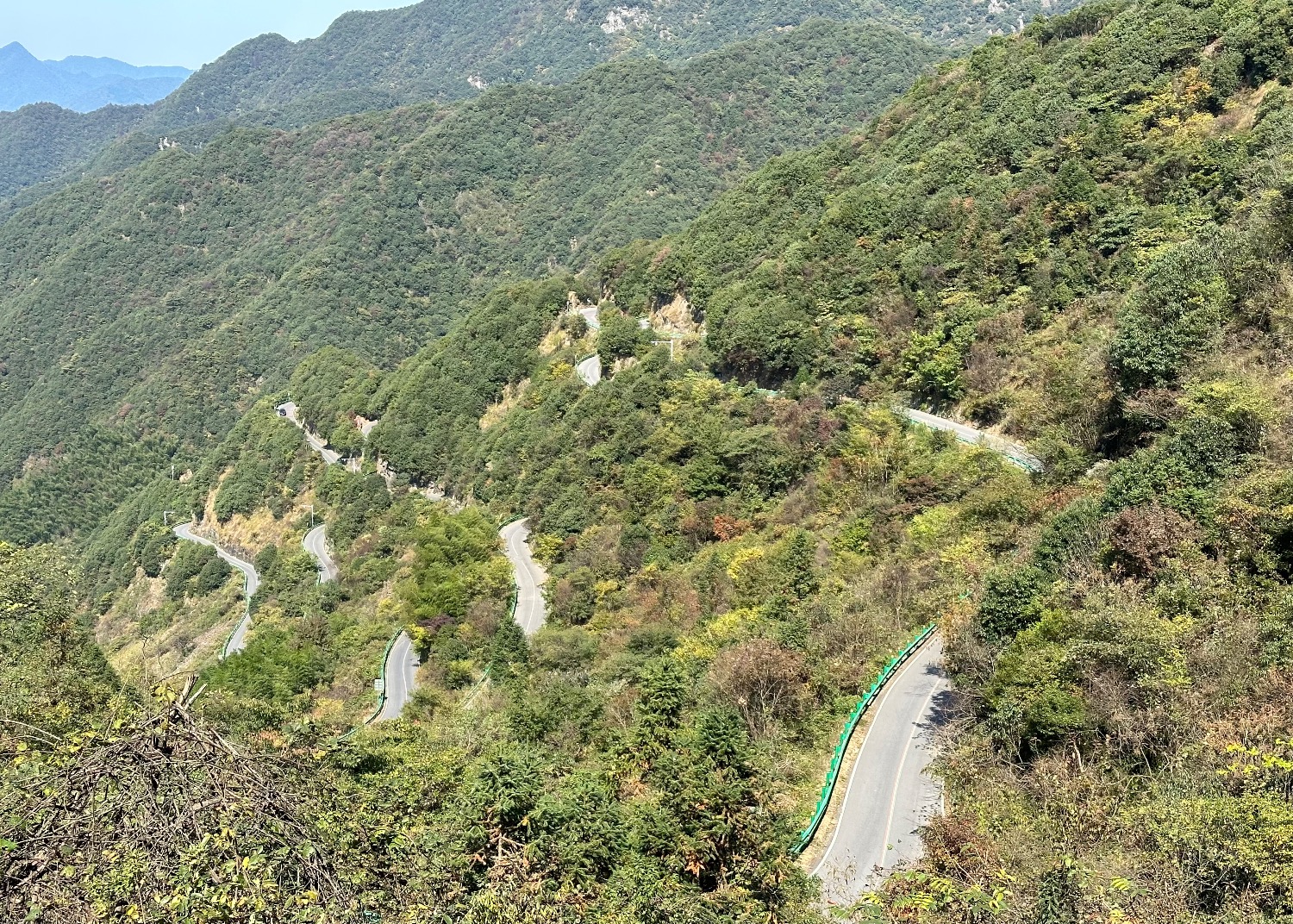 IMG_0380.jpeg