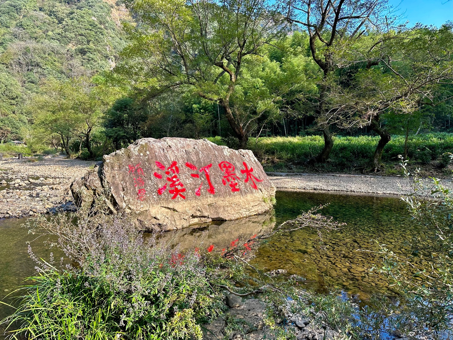 IMG_0398.jpeg