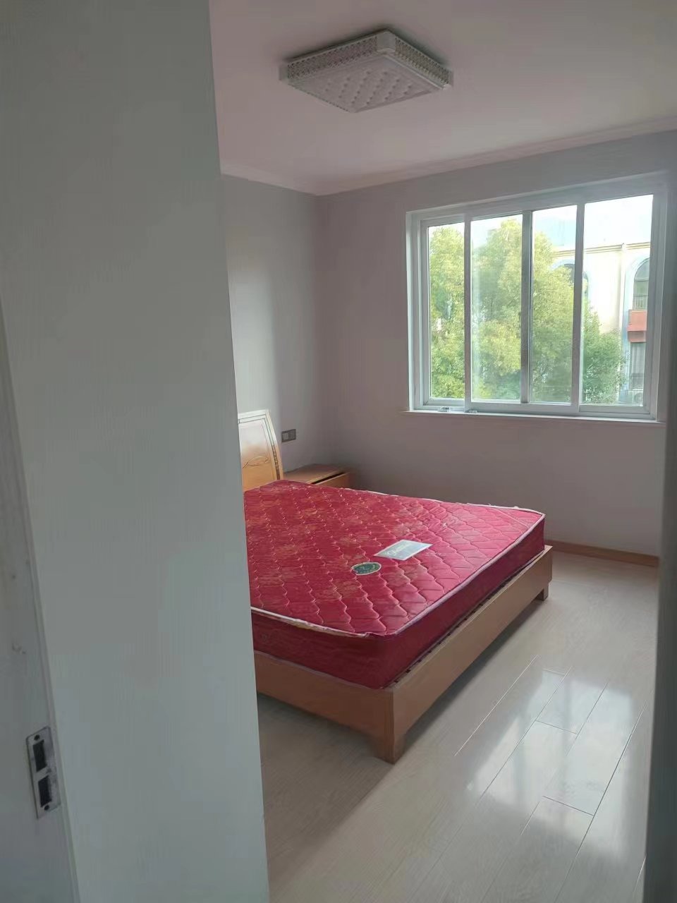 mmexport1698712897219.jpg
