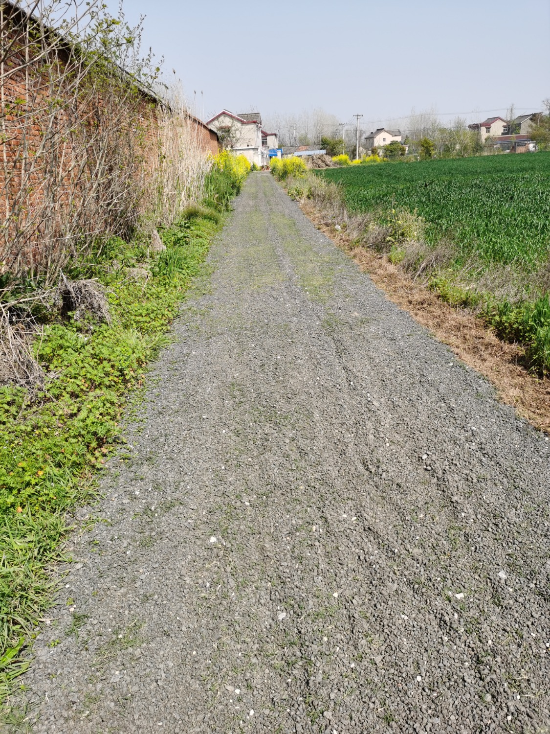 IMG_20230402_140248.jpg