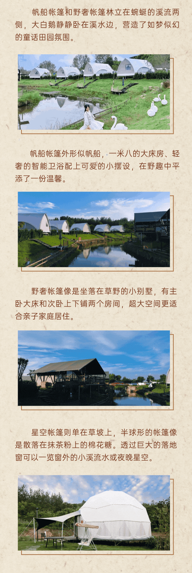 113543xzo6g2uv6g6oyc2x.gif